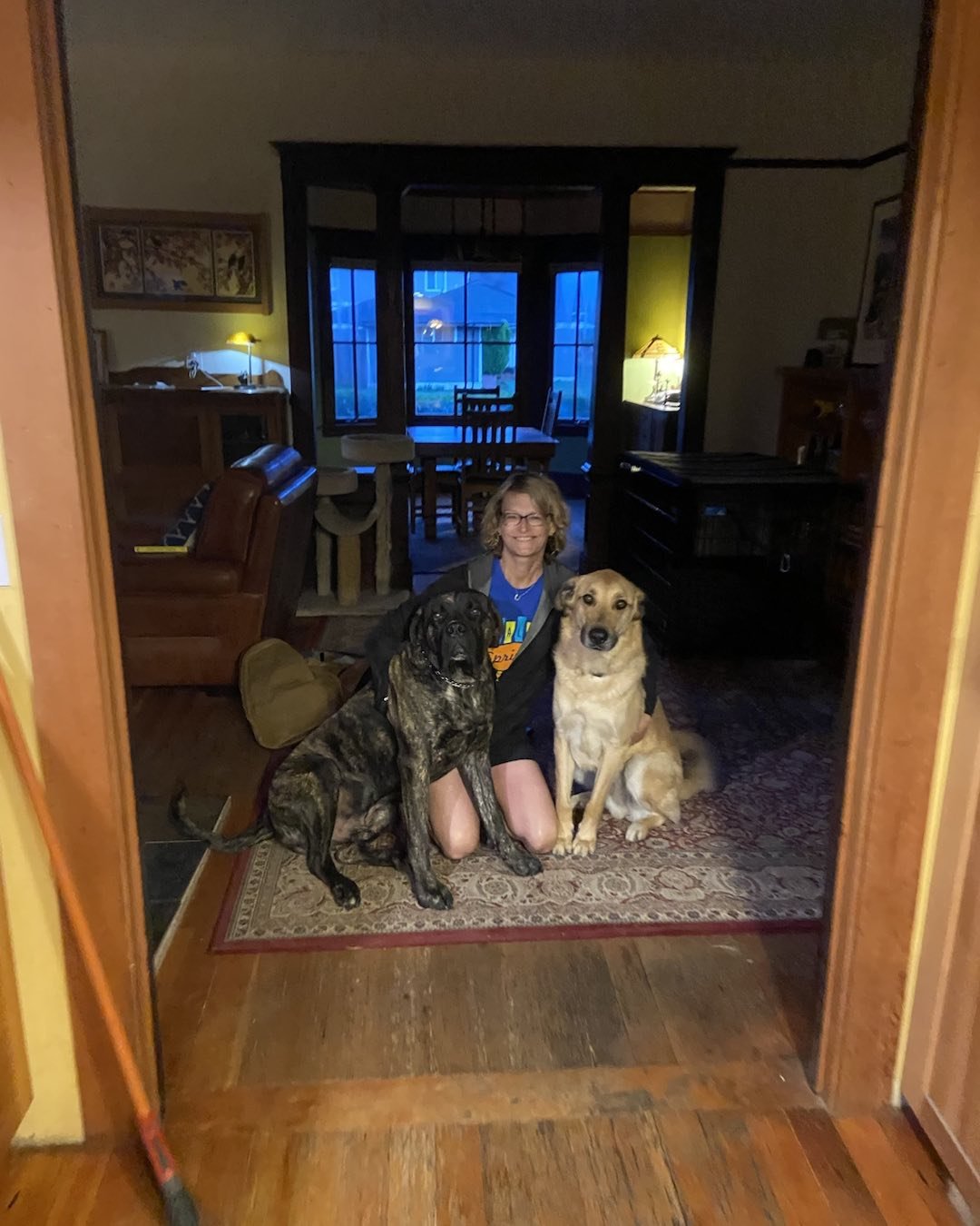 Why You Should Commit to Dog Training