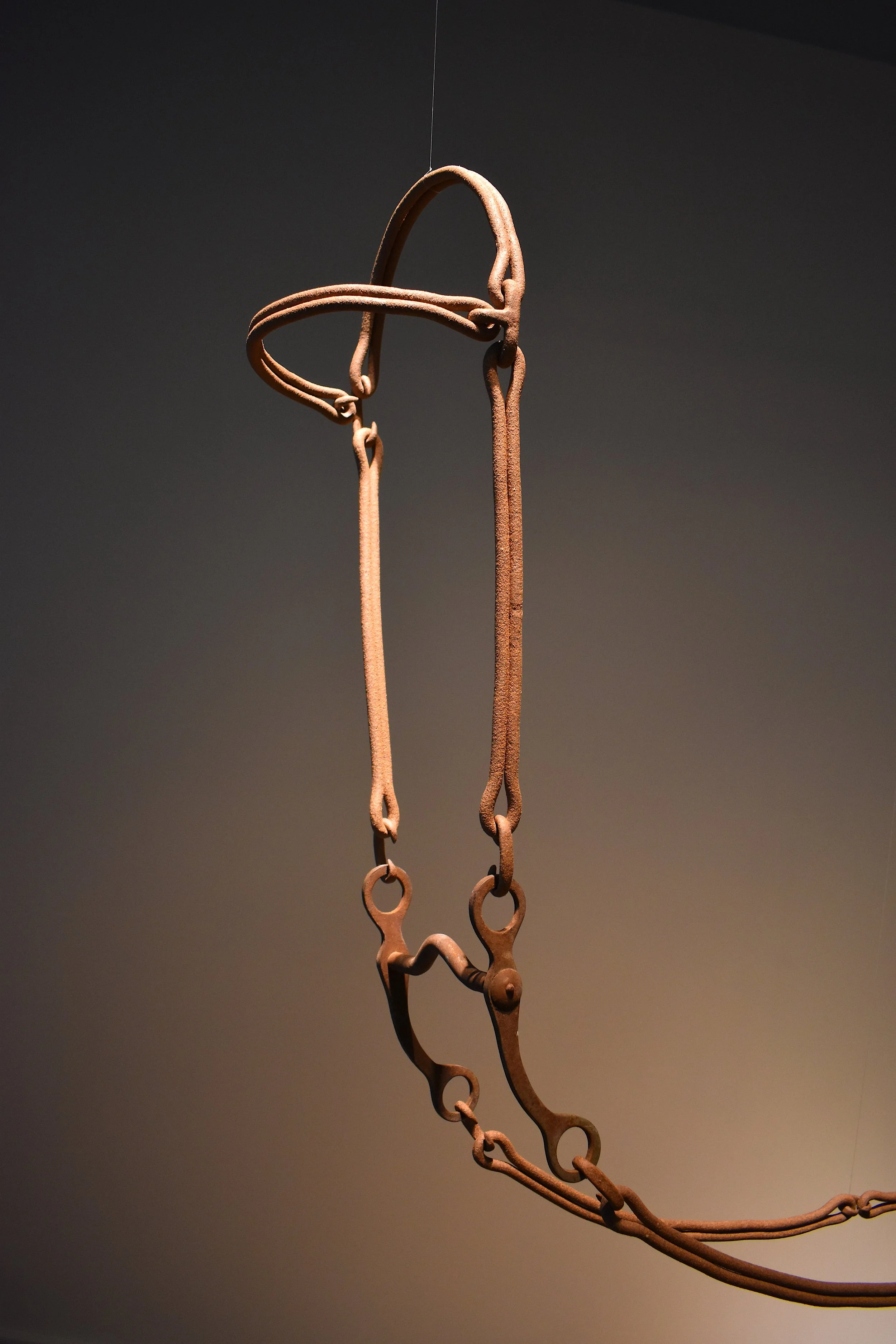 Bridle6.JPG