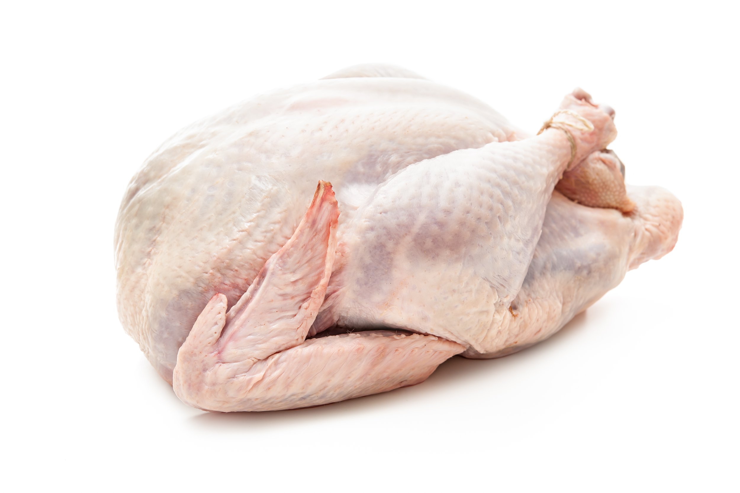 adobe_turkey-whole.jpeg