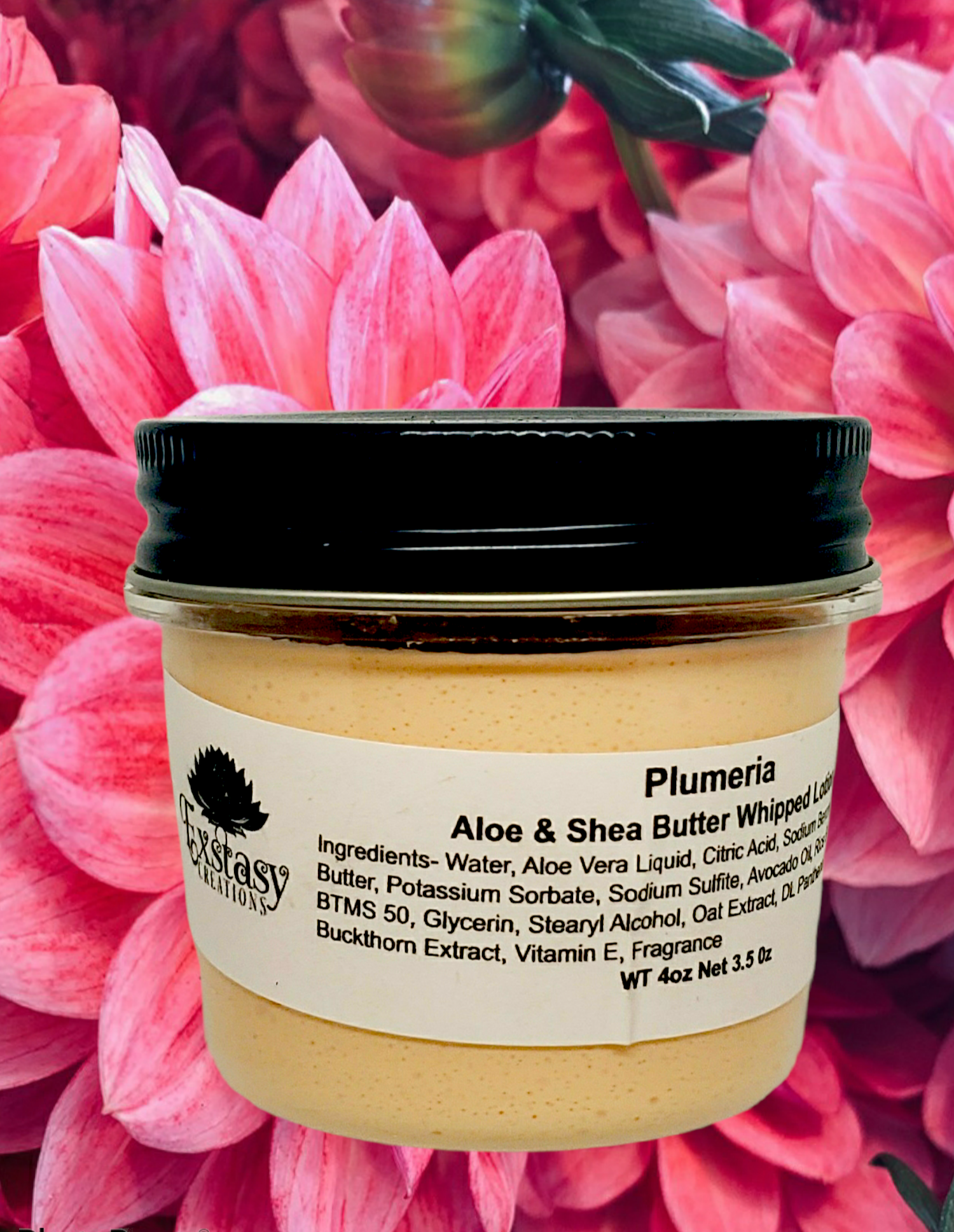 Plumeria Aloe and Shea Whipped Lotion.png