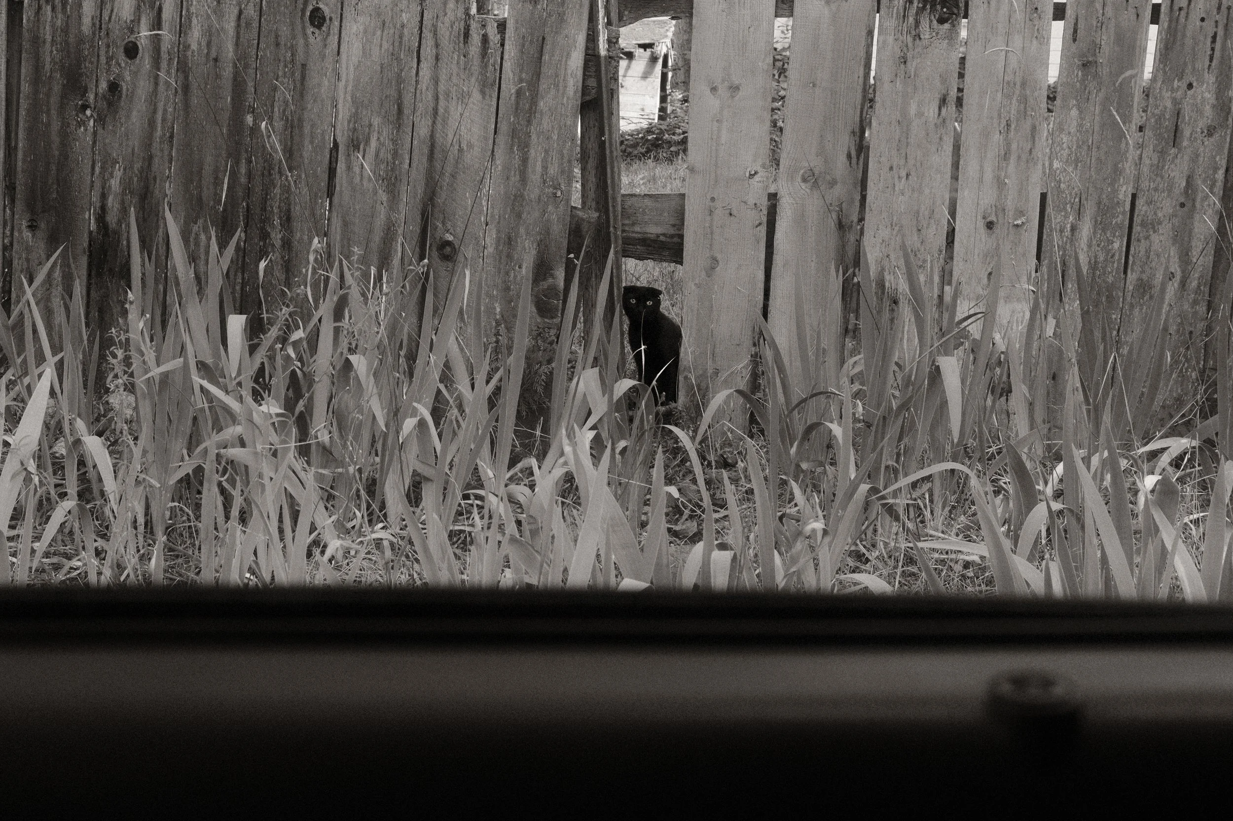 roadtrip final-32.jpg