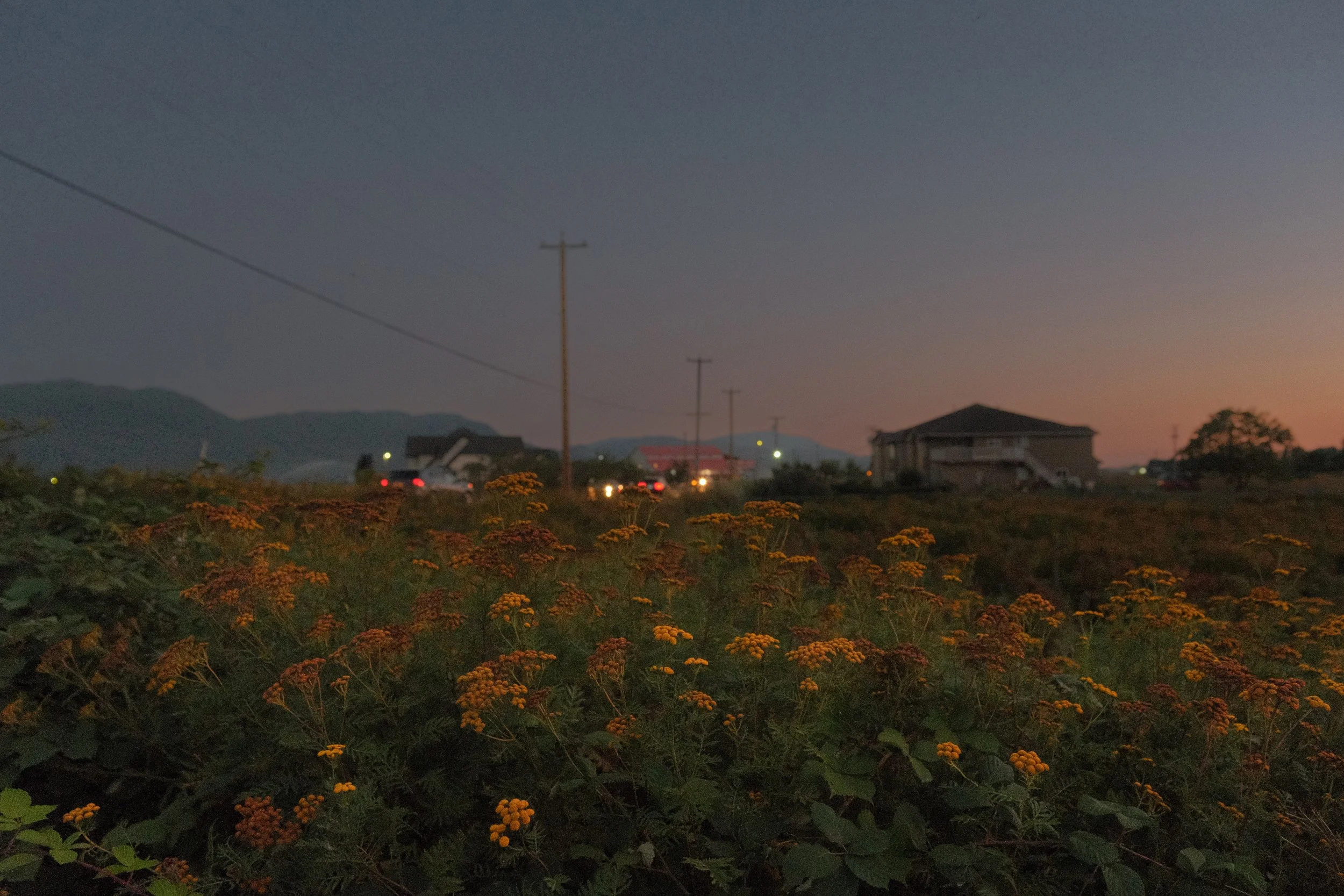 DSCF9931.jpg