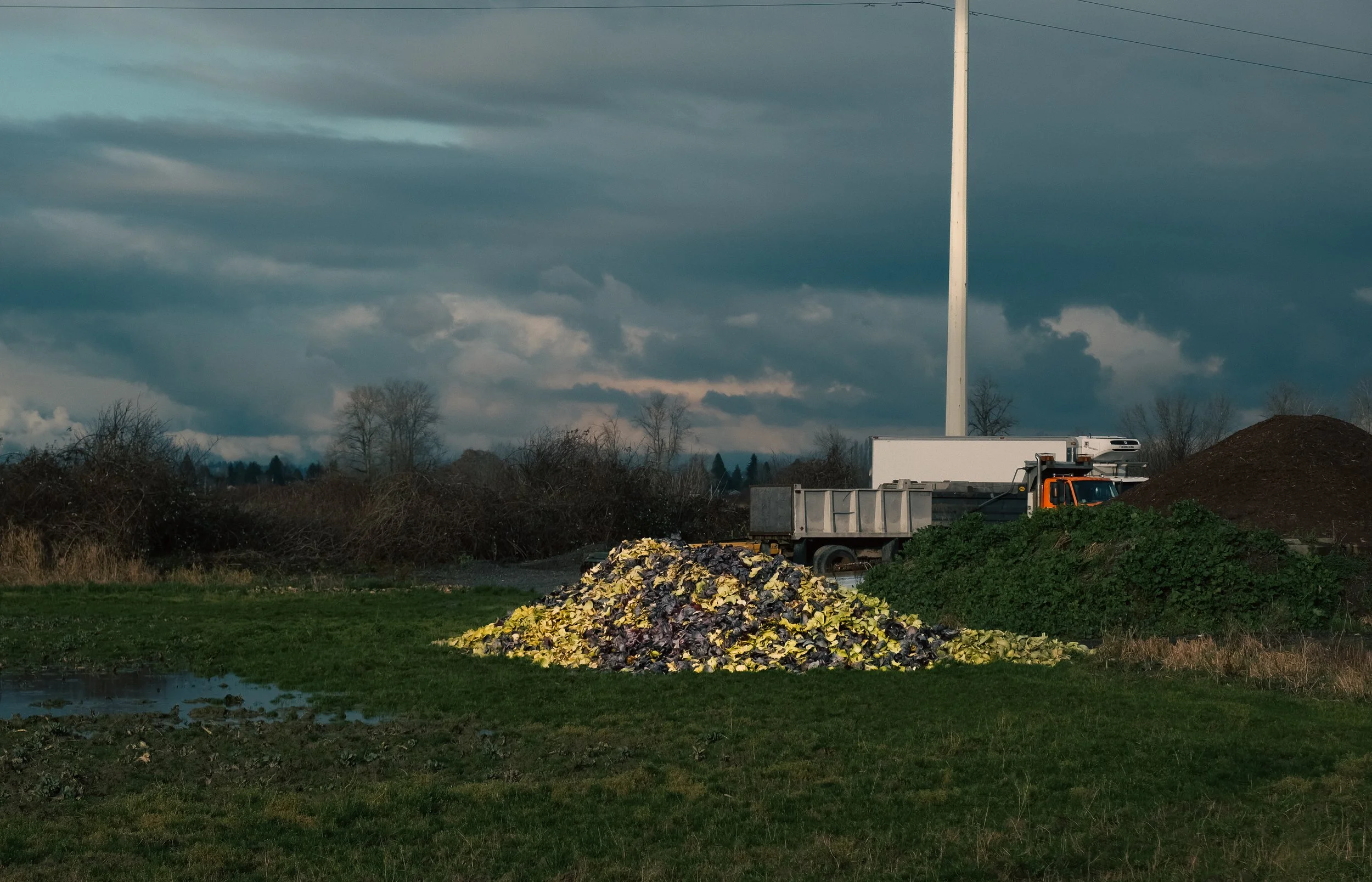 DSCF5277.jpg