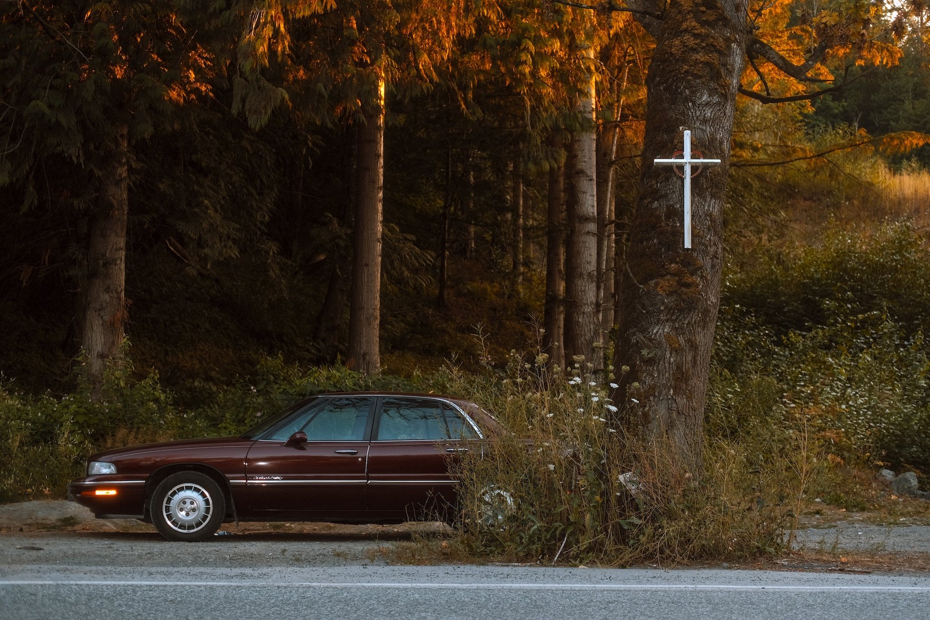 DSCF9872-2 copy 2.jpg