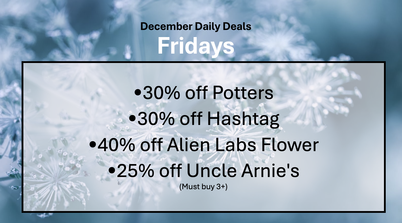 Screen Shot 2025-12-01 at 12.44.28 PM.png