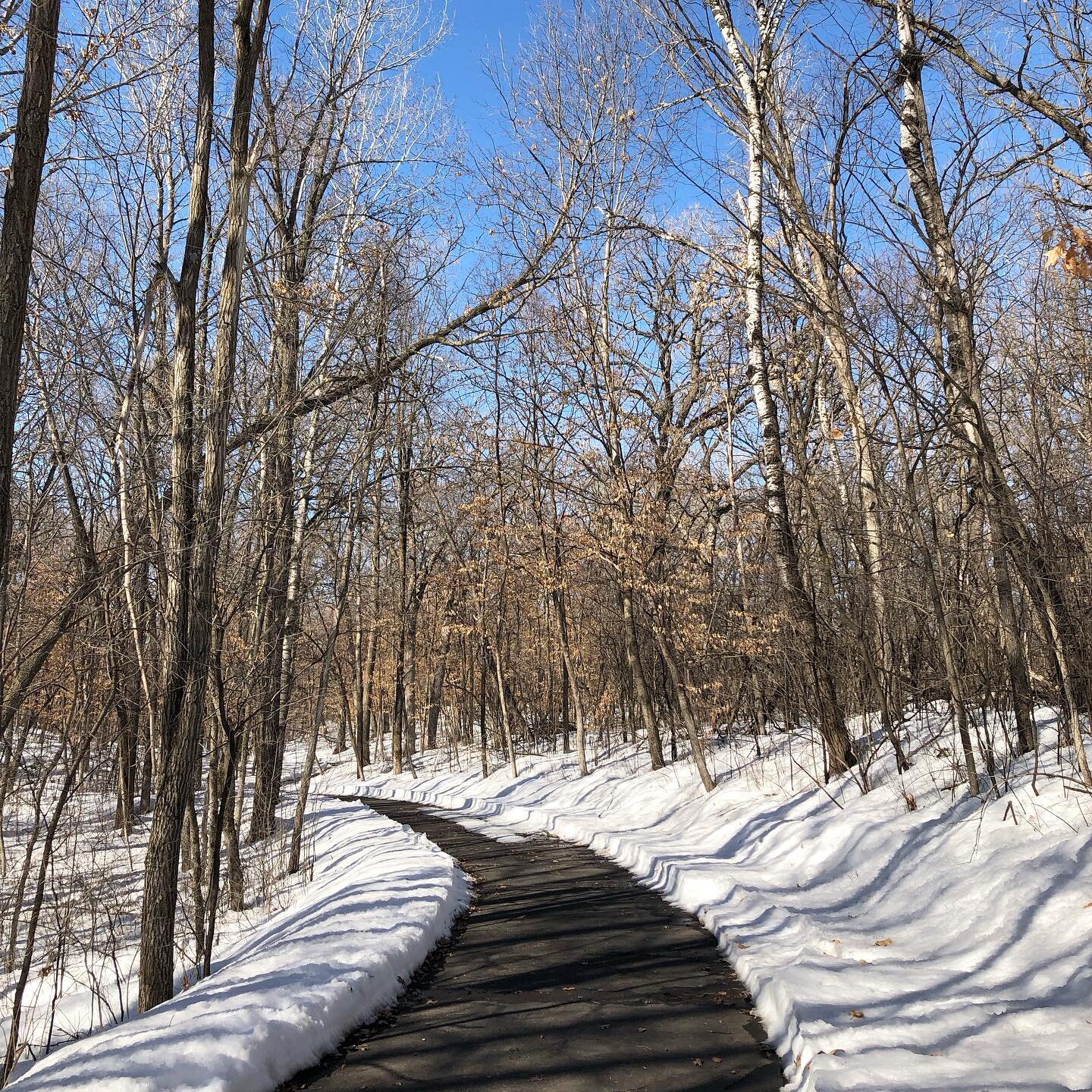 One of my favorite techniques for boosting creative flow is a weekly walk. Although it&rsquo;s still very snowy here in Minnesota, some fresh air always gives me a boost of inspiration! 
.
#artschoolblog #artrepreneur #artadvisory #artbusiness #artbi