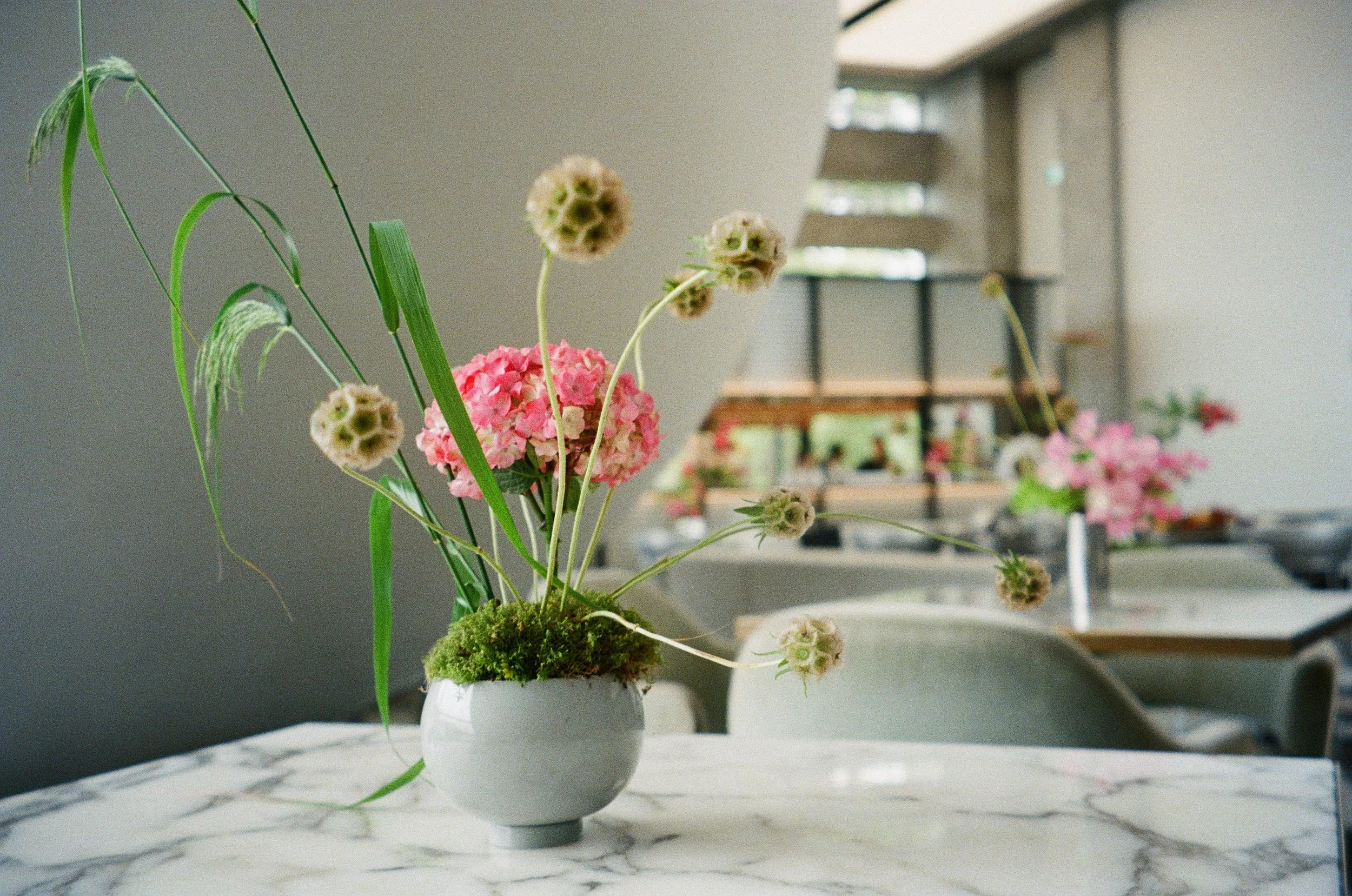 flowers from @thisnaturalworld_ .86.JPG