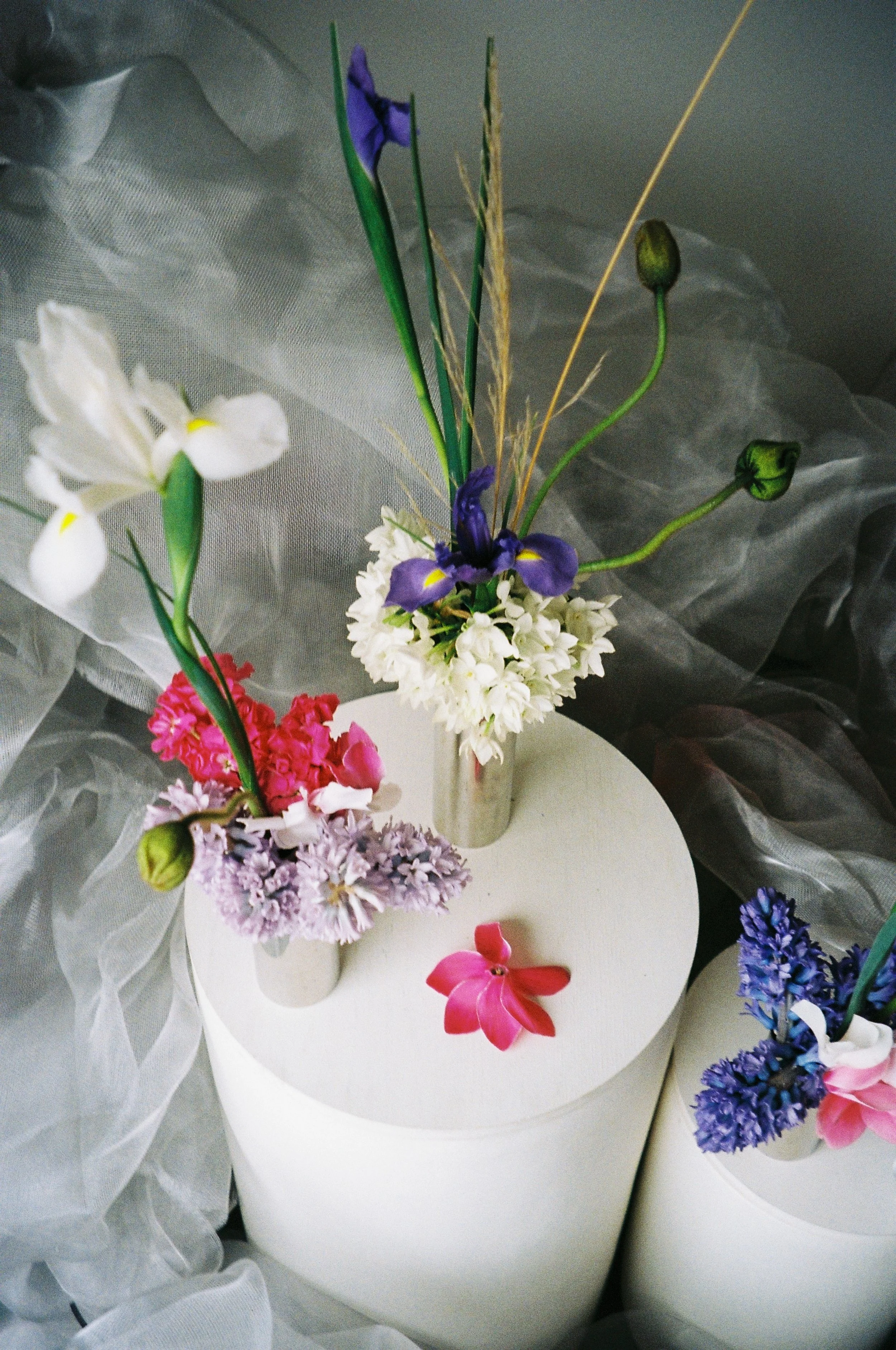 flowers from @thisnaturalworld_ .148.JPG