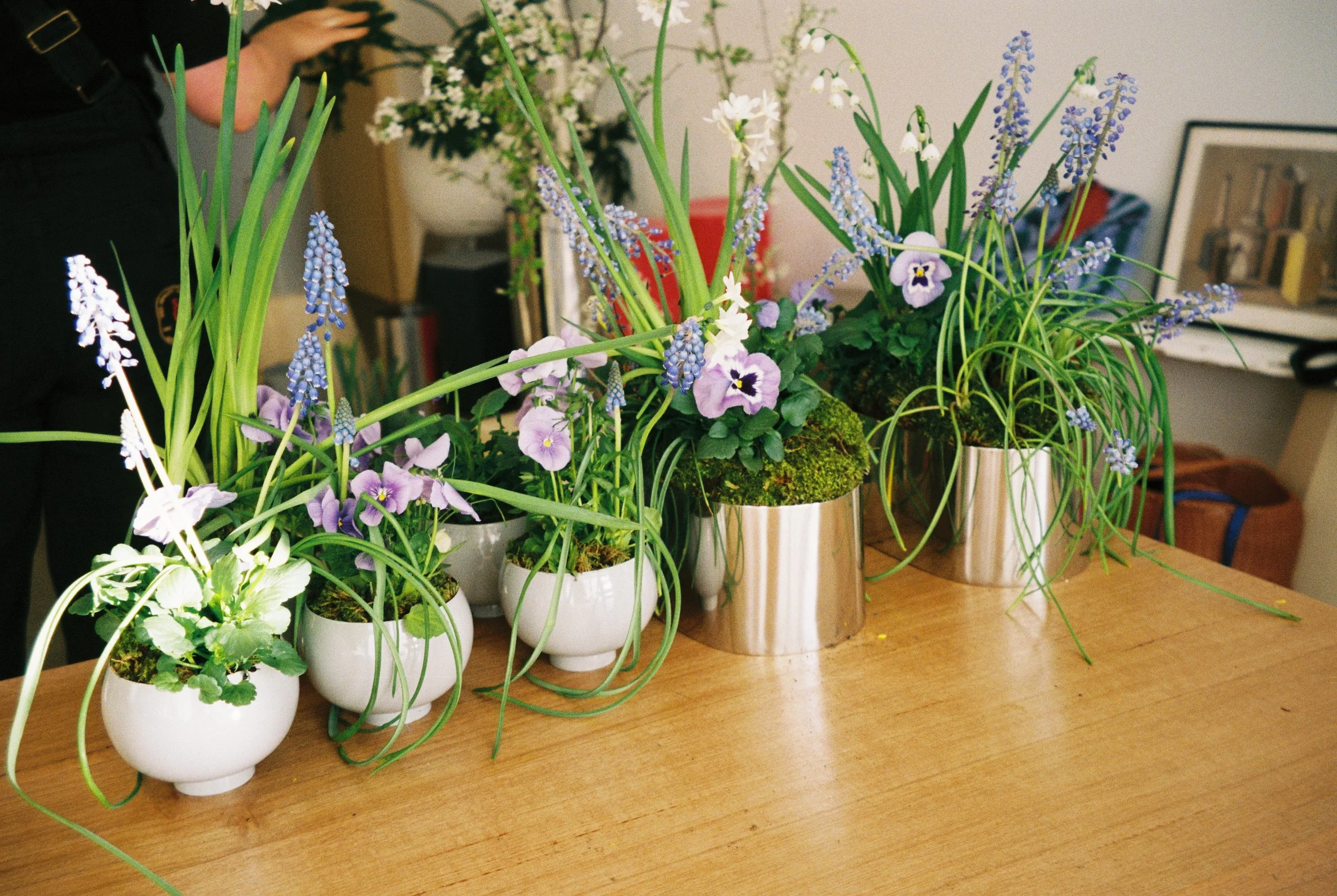 flowers from @thisnaturalworld_ .101.JPG