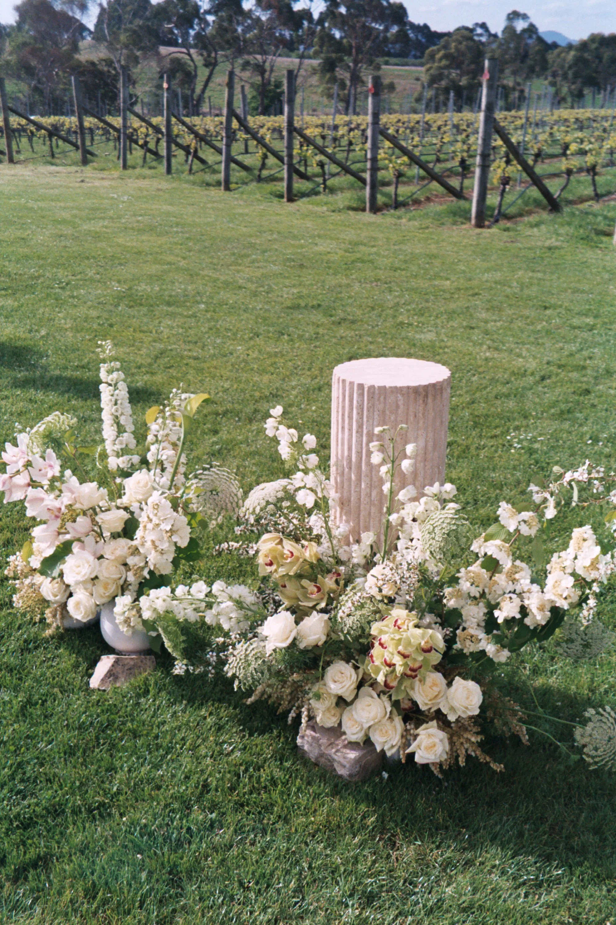 flowers from @thisnaturalworld_ .114.JPG