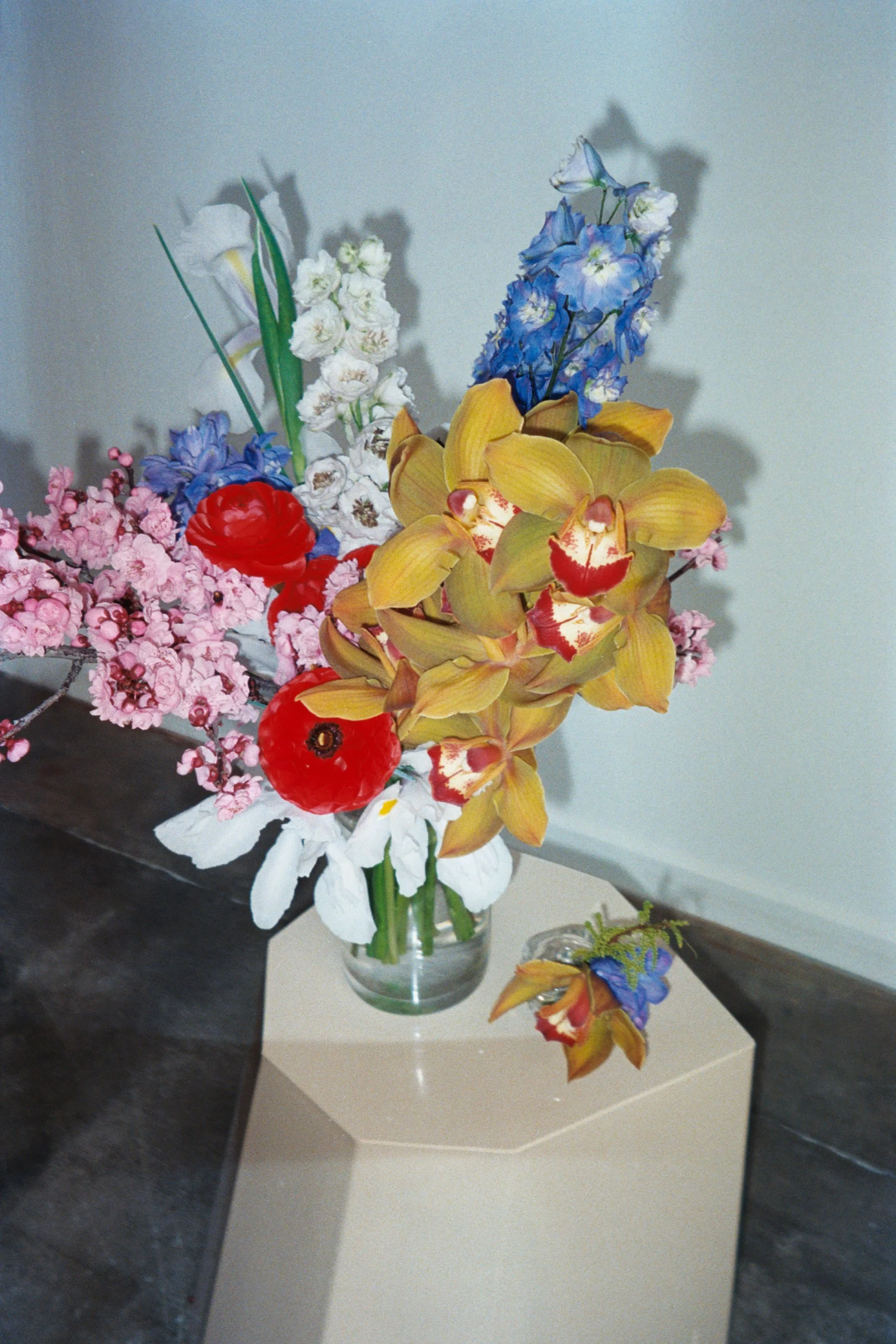 flowers from @thisnaturalworld_ .29.JPG