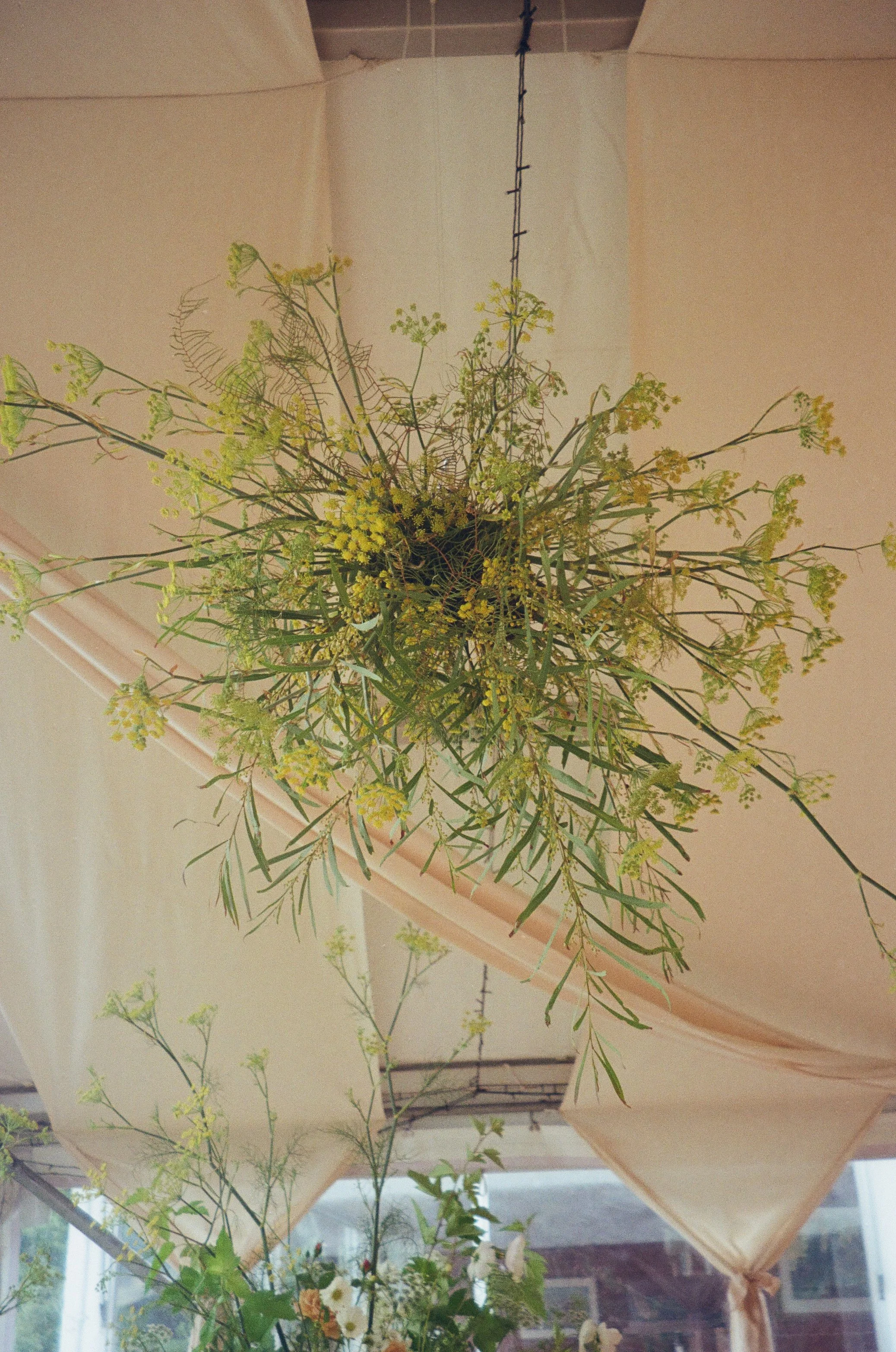 flowers from @thisnaturalworld_ .97.JPG