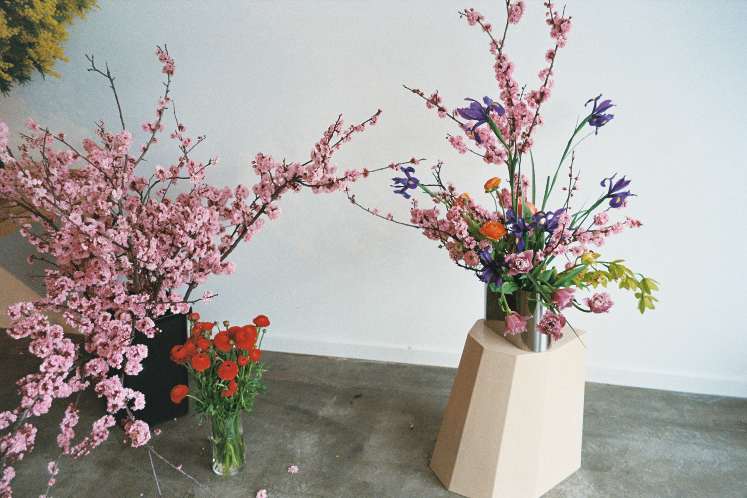flowers from @thisnaturalworld_ .27.JPG