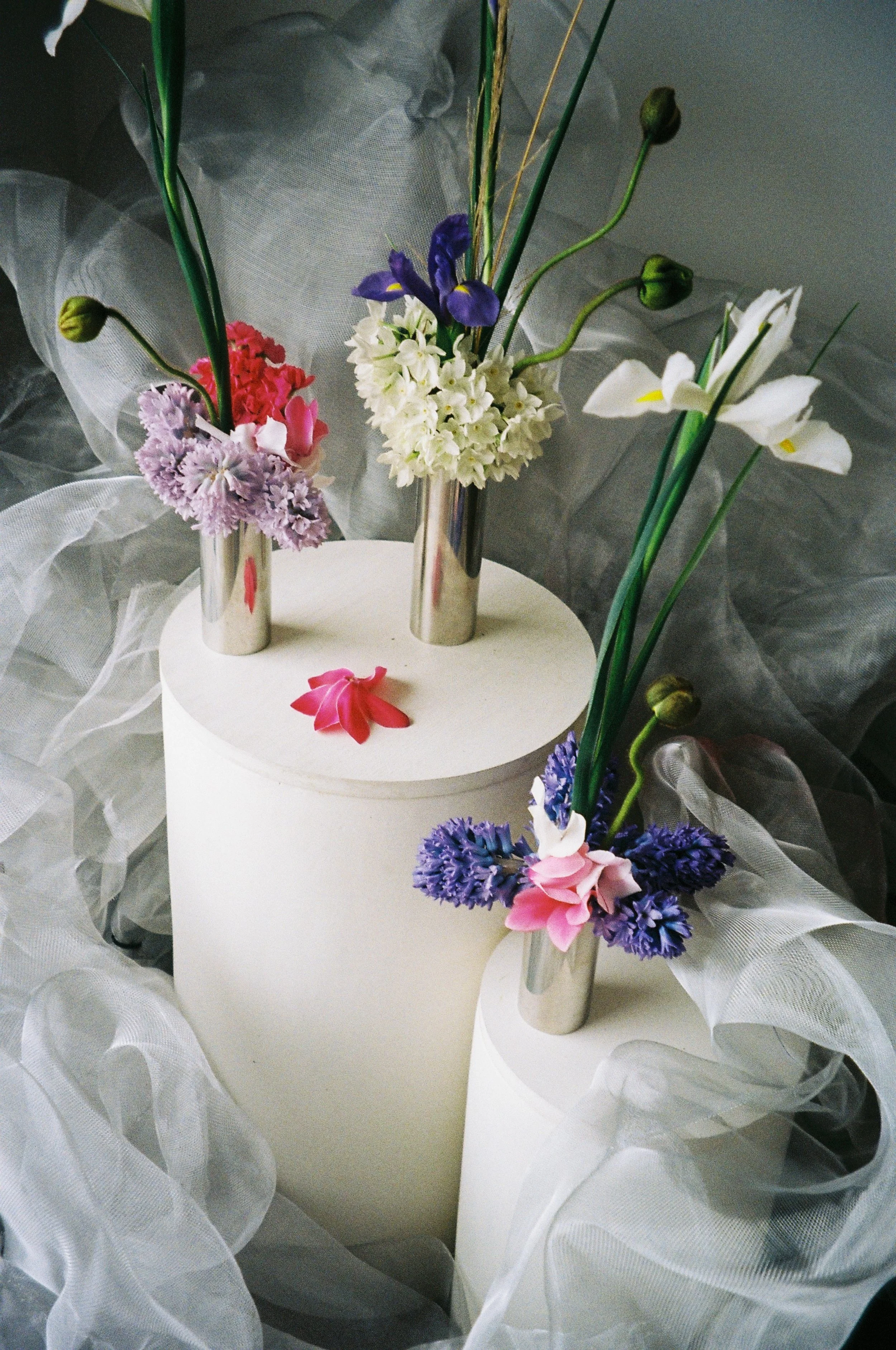 flowers from @thisnaturalworld_ .149.JPG