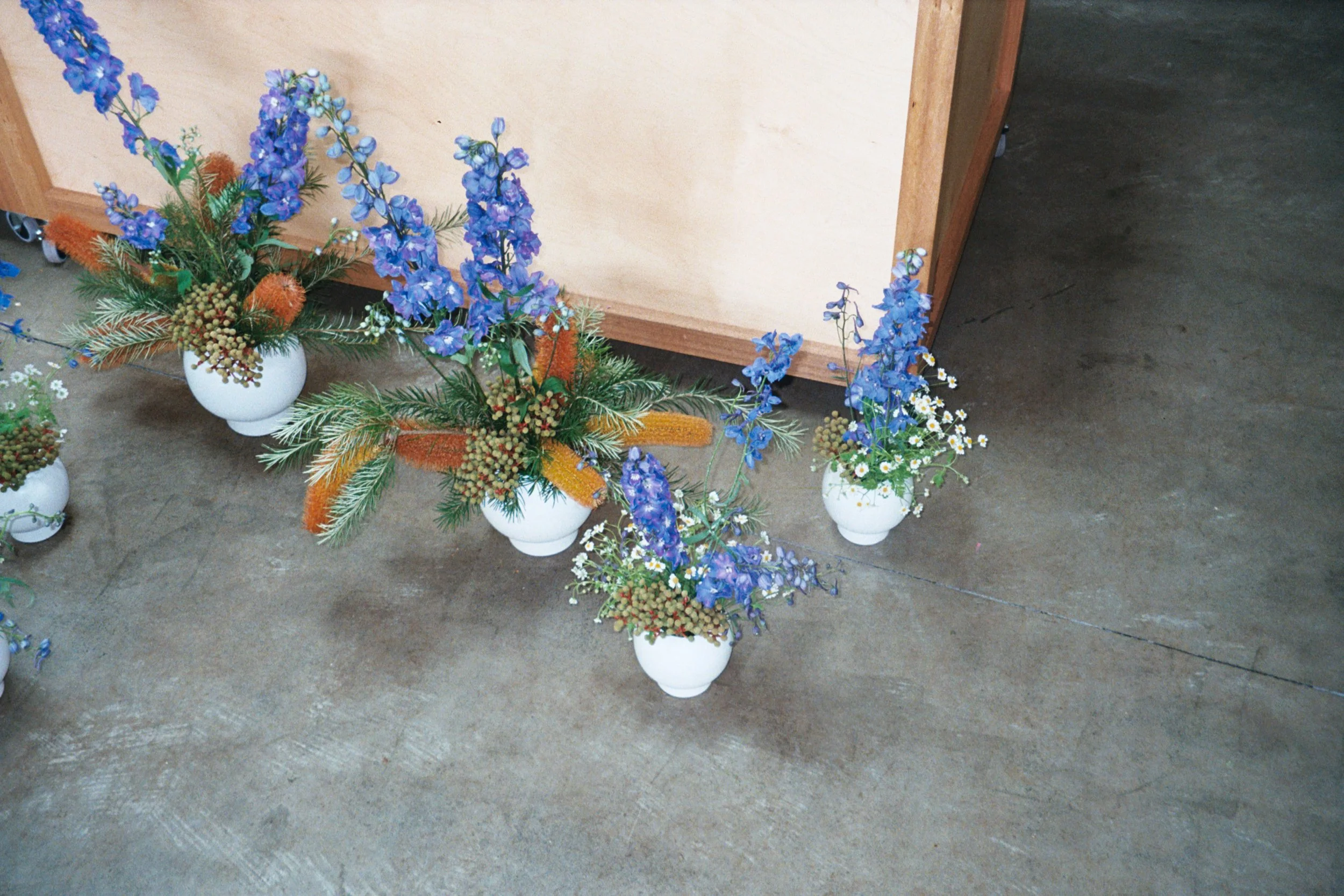 flowers from @thisnaturalworld_ .79.JPG