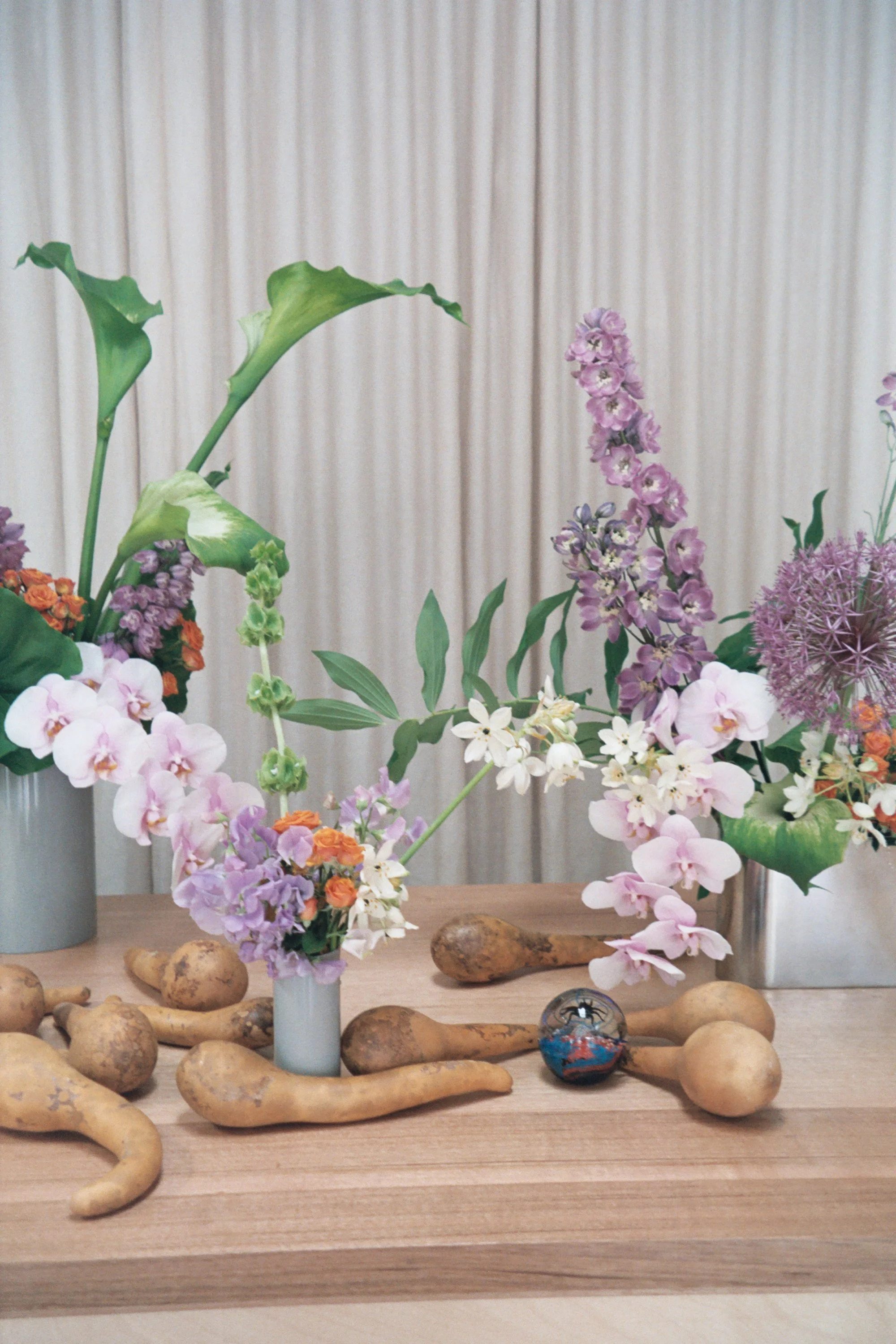 flowers from @thisnaturalworld_ .59.JPG