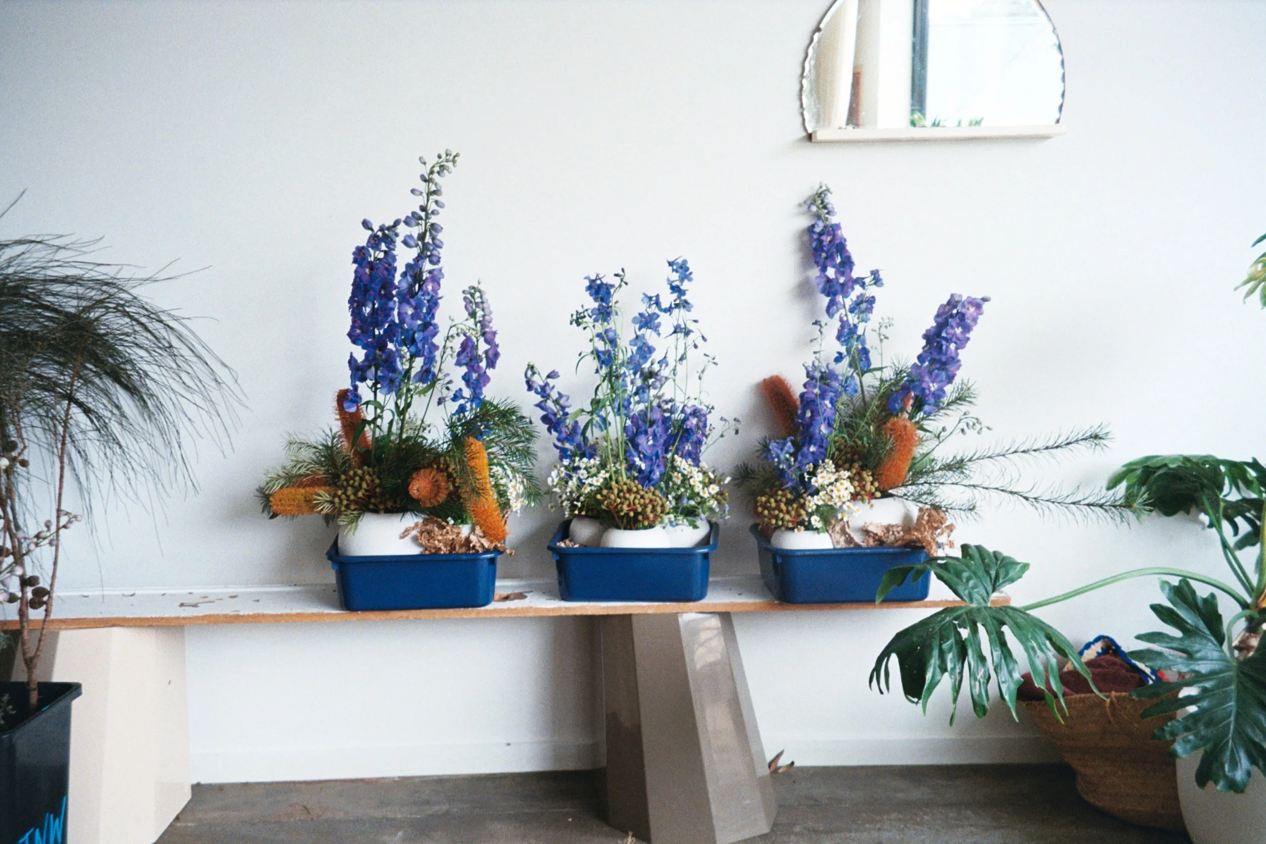 flowers from @thisnaturalworld_ .83.JPG