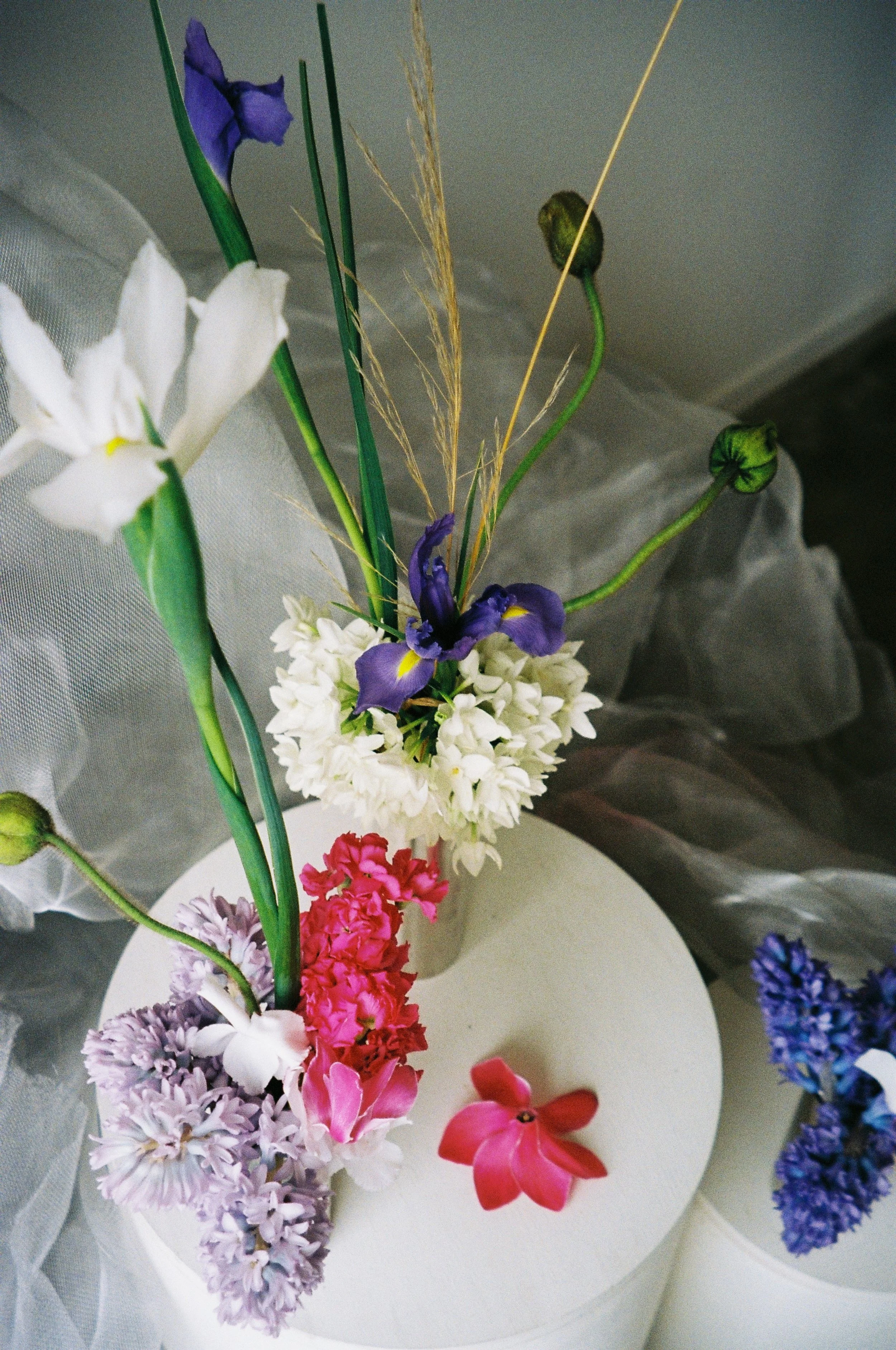 flowers from @thisnaturalworld_ .150.JPG