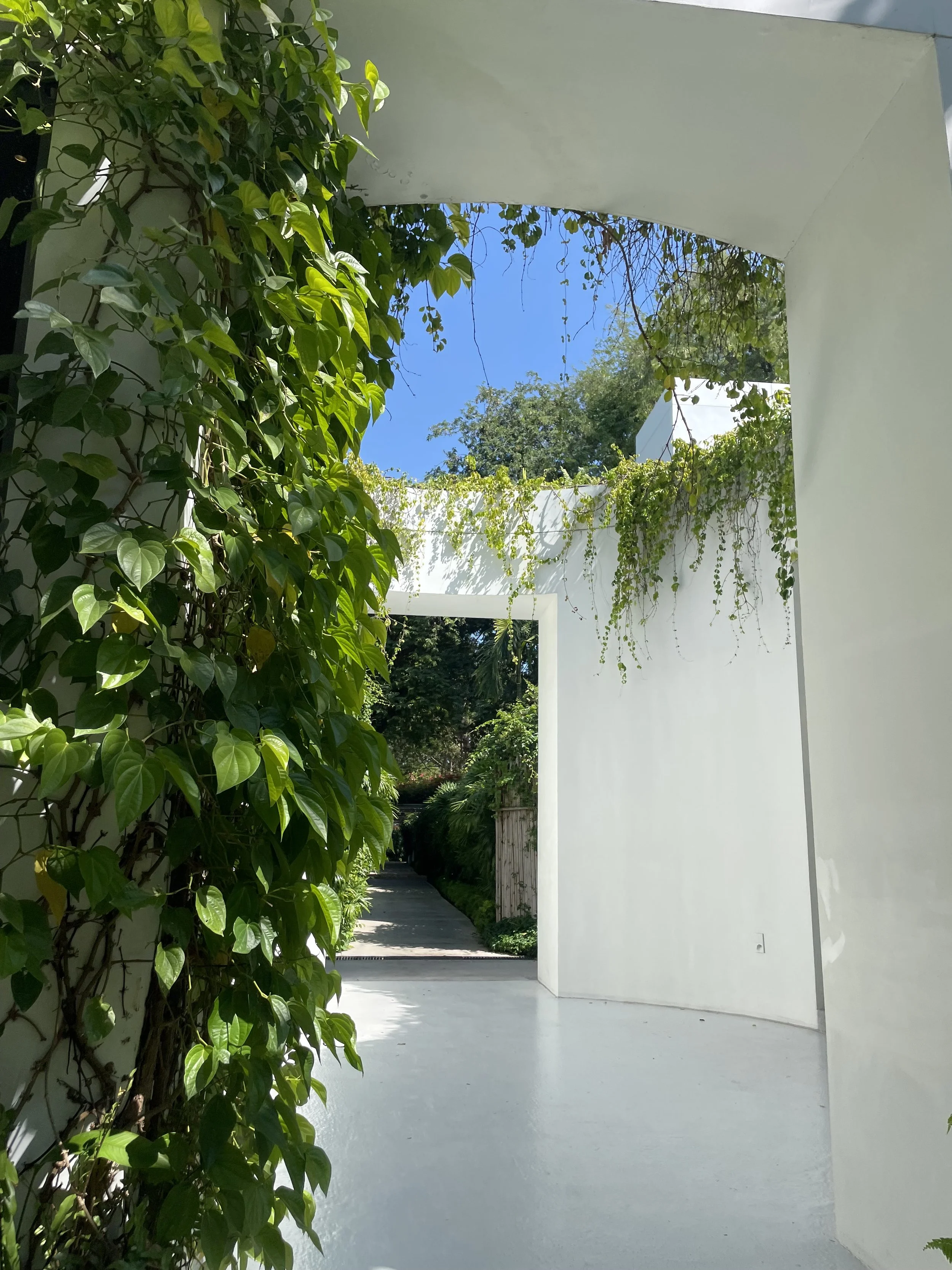 Why LCA is more than Just a Report 