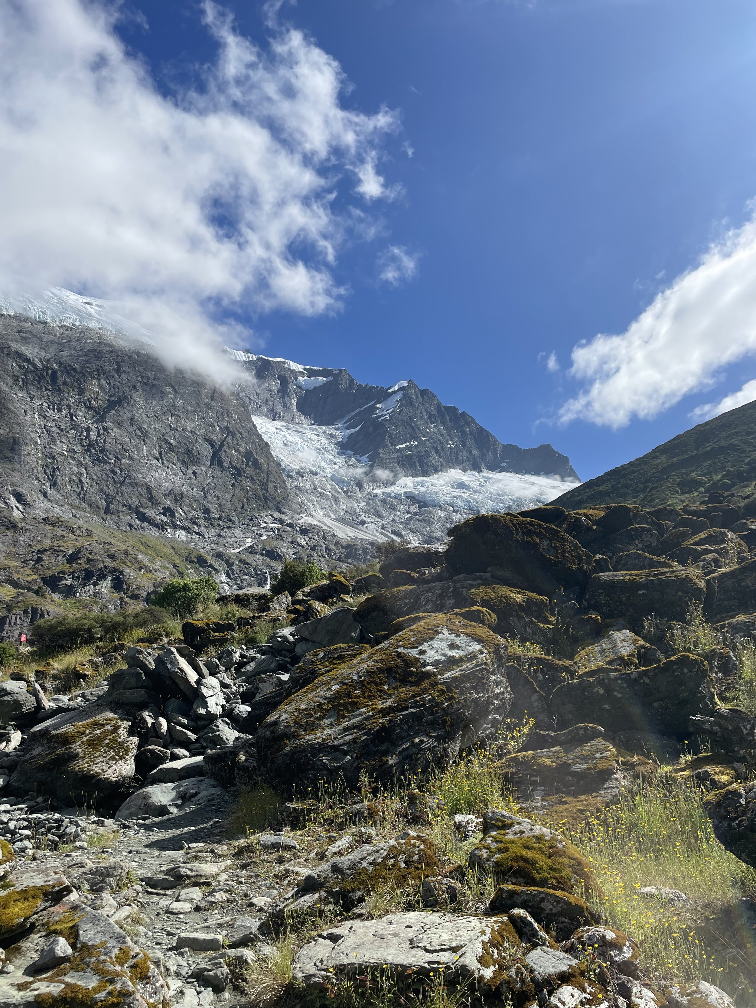 Mountain landscape with rocky foreground, moss, and yellow flowers, leading to snowy rugged peaks under a blue sky, featured in a Life Cycle Assessment environmental study.