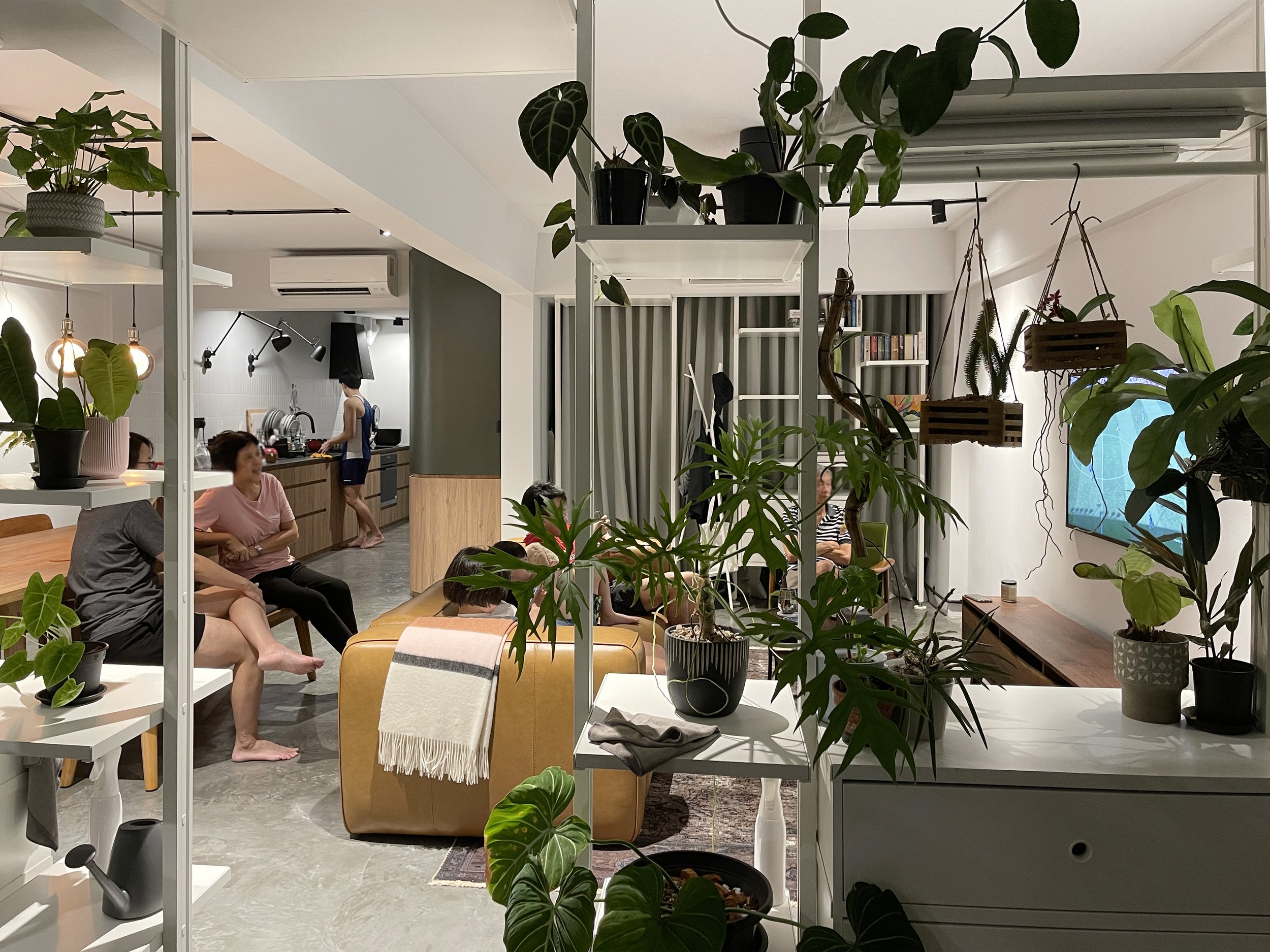 HDB Apartment Interior planting Indoor garden Degrees of privacy