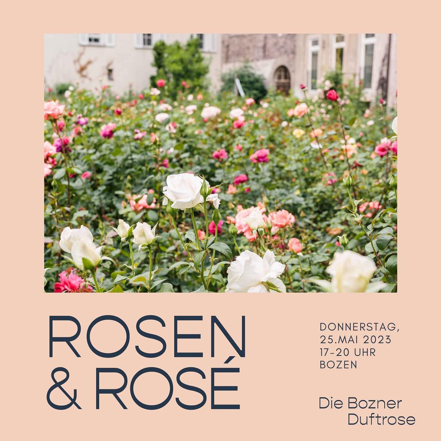 [Donnerstag, 25. Mai 2023] Rosen &amp; Ros&eacute;, von 17-20 Uhr. Eingang in der Vintlerstrasse 23, Bozen! Rosen von @duftrose.it direkt vom Feld kaufen und bei einem Glasl Vers&eacute; Ros&eacute; von @pitzner_winery verweilen! Einmalige Gelegenhei