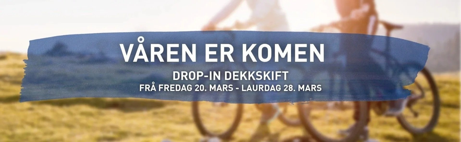 Dekkskift+Nettside.jpg