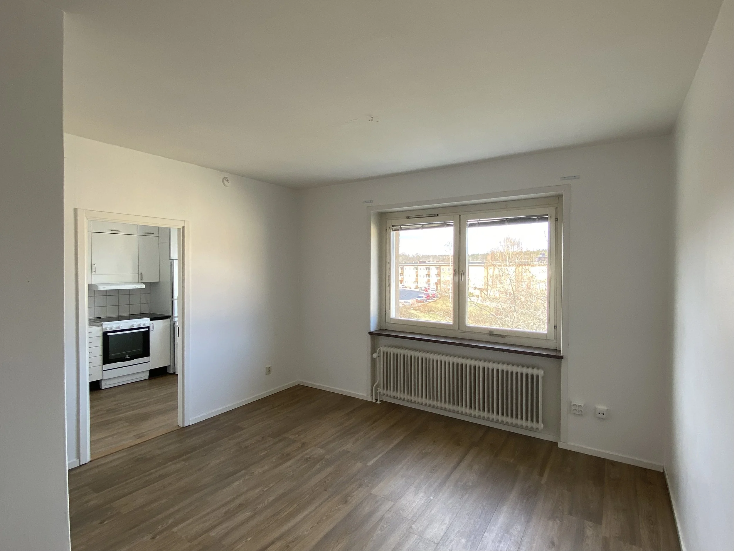 IMG_0984 3 Edited.JPG