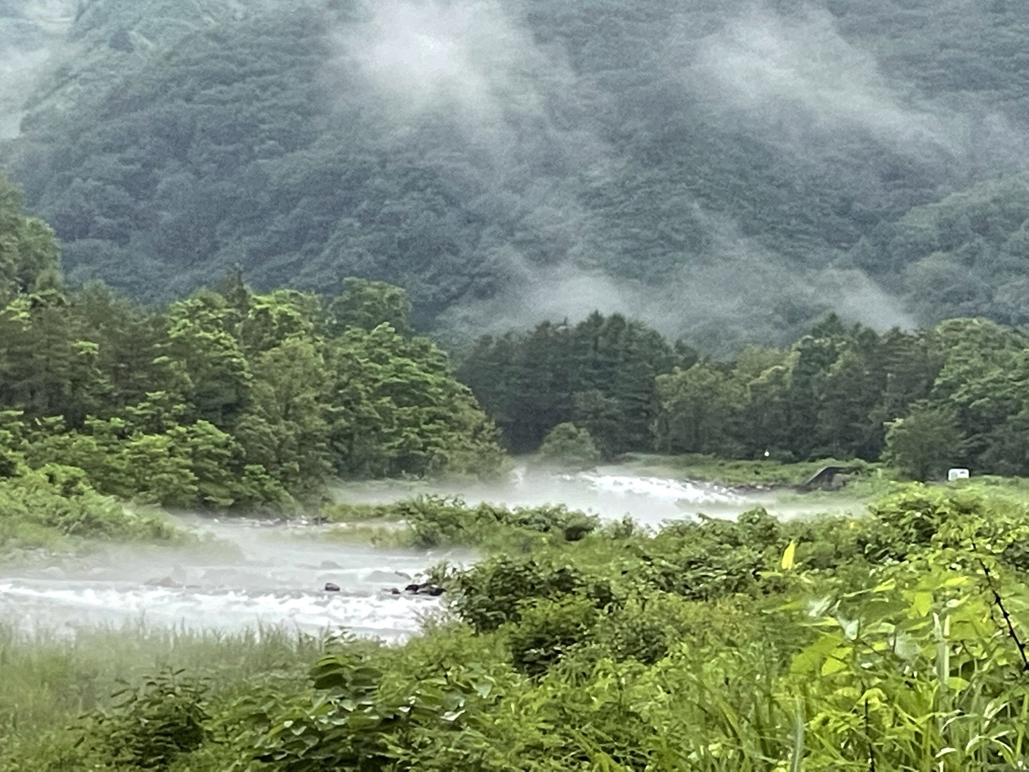 IMG_1420.JPEG