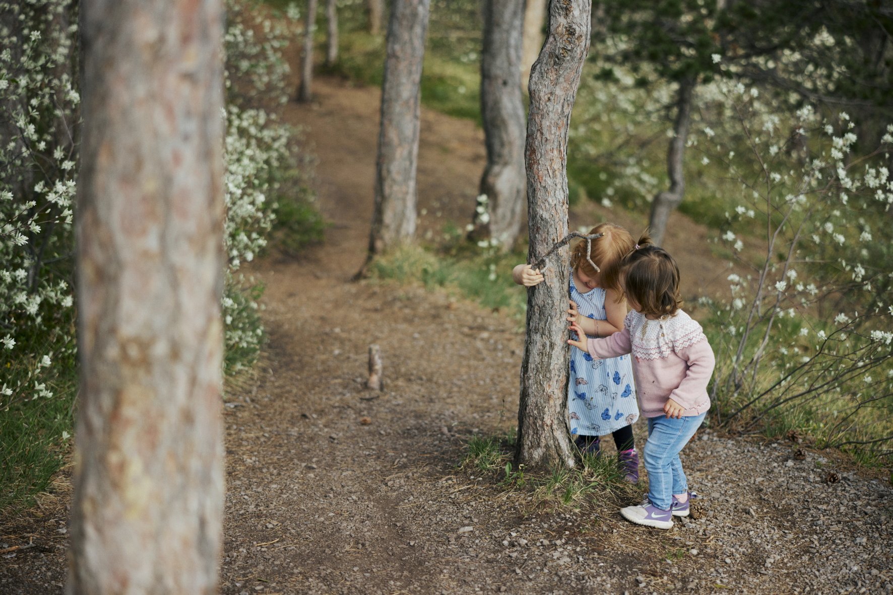 Den Kindern ist das aber völlig egal. Was irgendwo da hinten, 30, 40 Kilometer Luftlinie entfernt, zu sehen ist – wen bitte schert das? Anna und Ida wollen lieber am Schotter zwischen den Steinen herumrutschen. Wobei das – wieder aus Erwachsenenperspektive – keine besonders gute Idee ist, denn wer hier wirklich einmal ins Rutschen gerät, kommt ziemlich sicher erst ein ganzes Stück weiter unten wieder zu einem Halt. Dann überlegt es sich Anna aber ohnehin anders, macht kehrt, stößt ein bestimmtes „Da!“ aus und stapft zurück in den Wald, Ida hinter ihr her. Die Mädchen schlüpfen zwischen Gebüschen durch, klopfen mit Stöcken gegen Baumstämme und freuen sich über die Geräusche, die das ergibt. - 