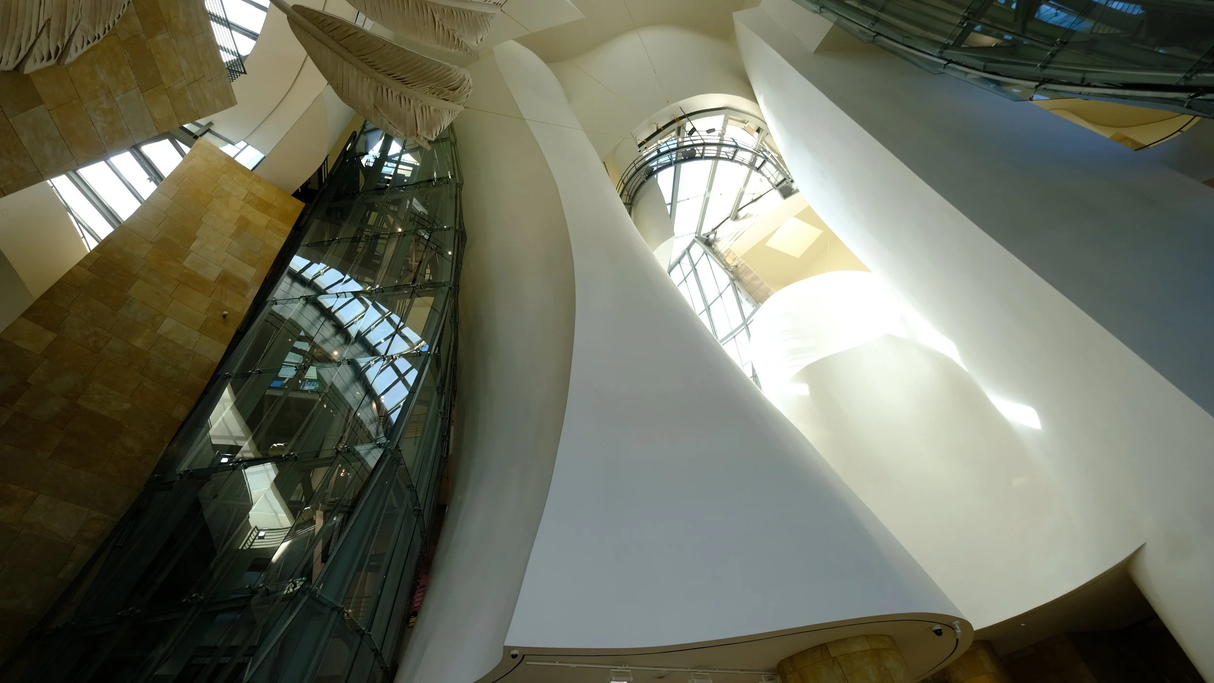 DSCF9643.JPG