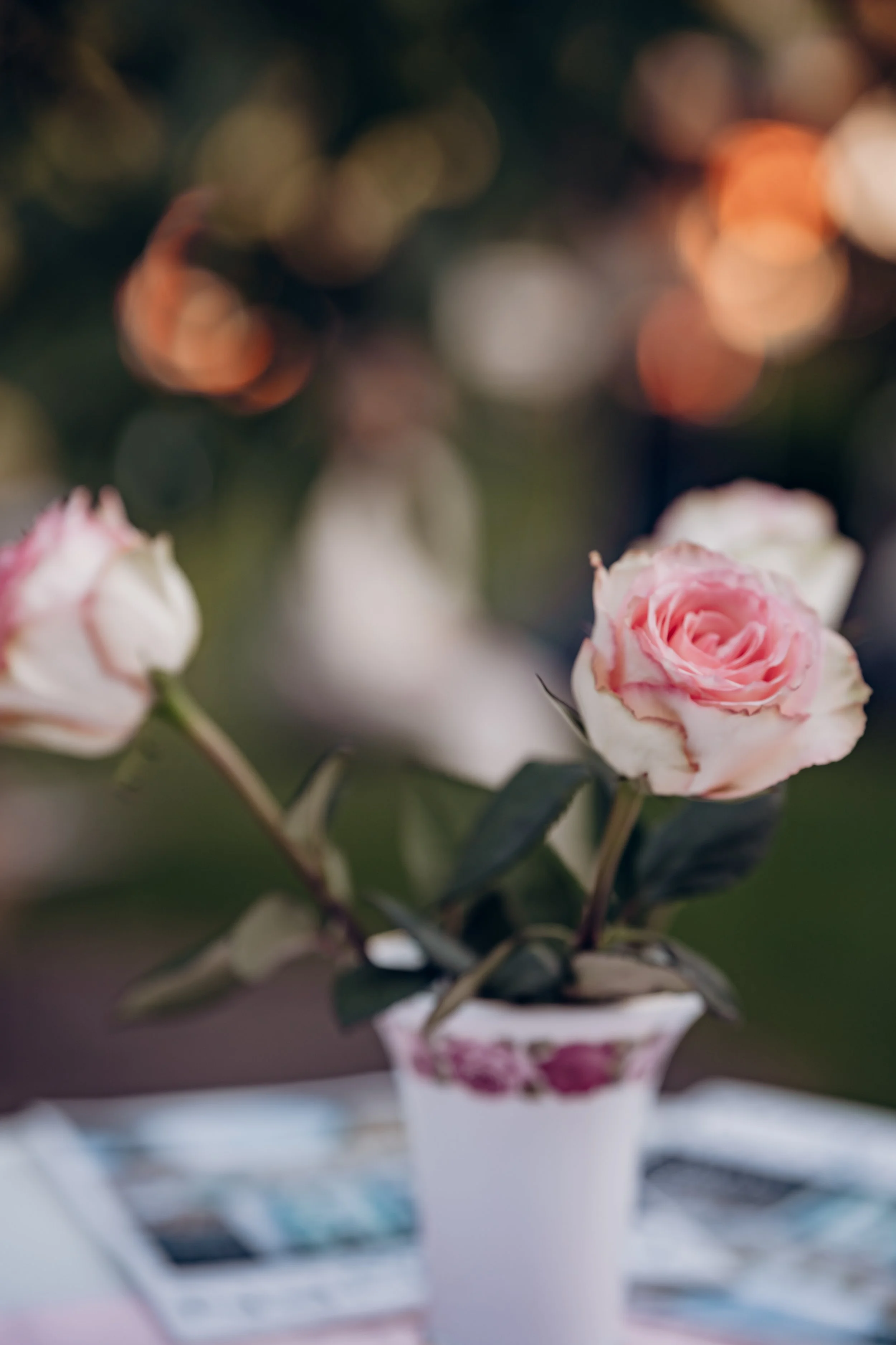 LADYS Night bei Hof SiMa