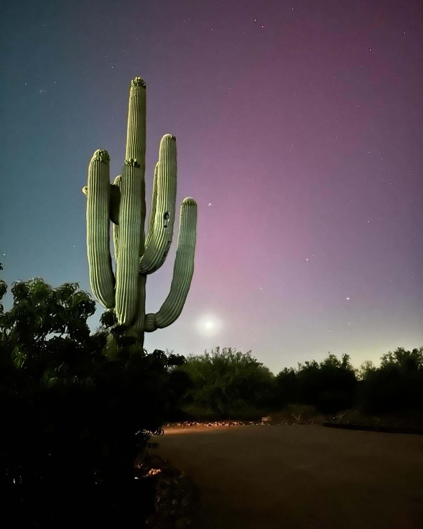 That time we saw the #auroraborealis all the way down in Tucson, AZ. 🌵✨ The camera saw it much more clearly than the eye, but I&rsquo;m in awe. Glad we stayed up late to capture this! 

First image around 9:30pm. Next two images around 11:30pm. 

Di