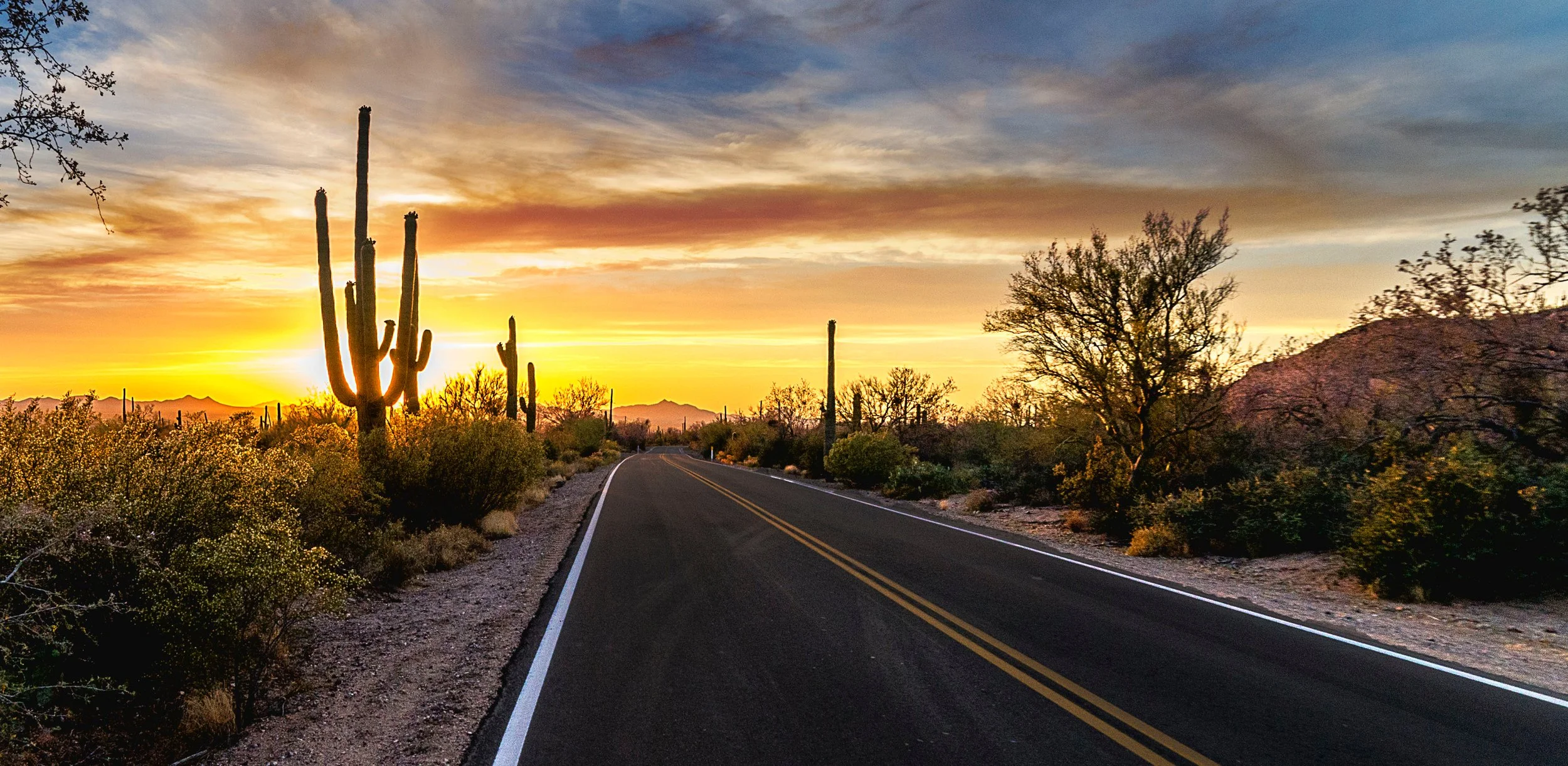 Two-lane road curves through the Sonoran Desert past tall saguaros and desert shrubs as the sky glows bright gold and orange at sunset.
