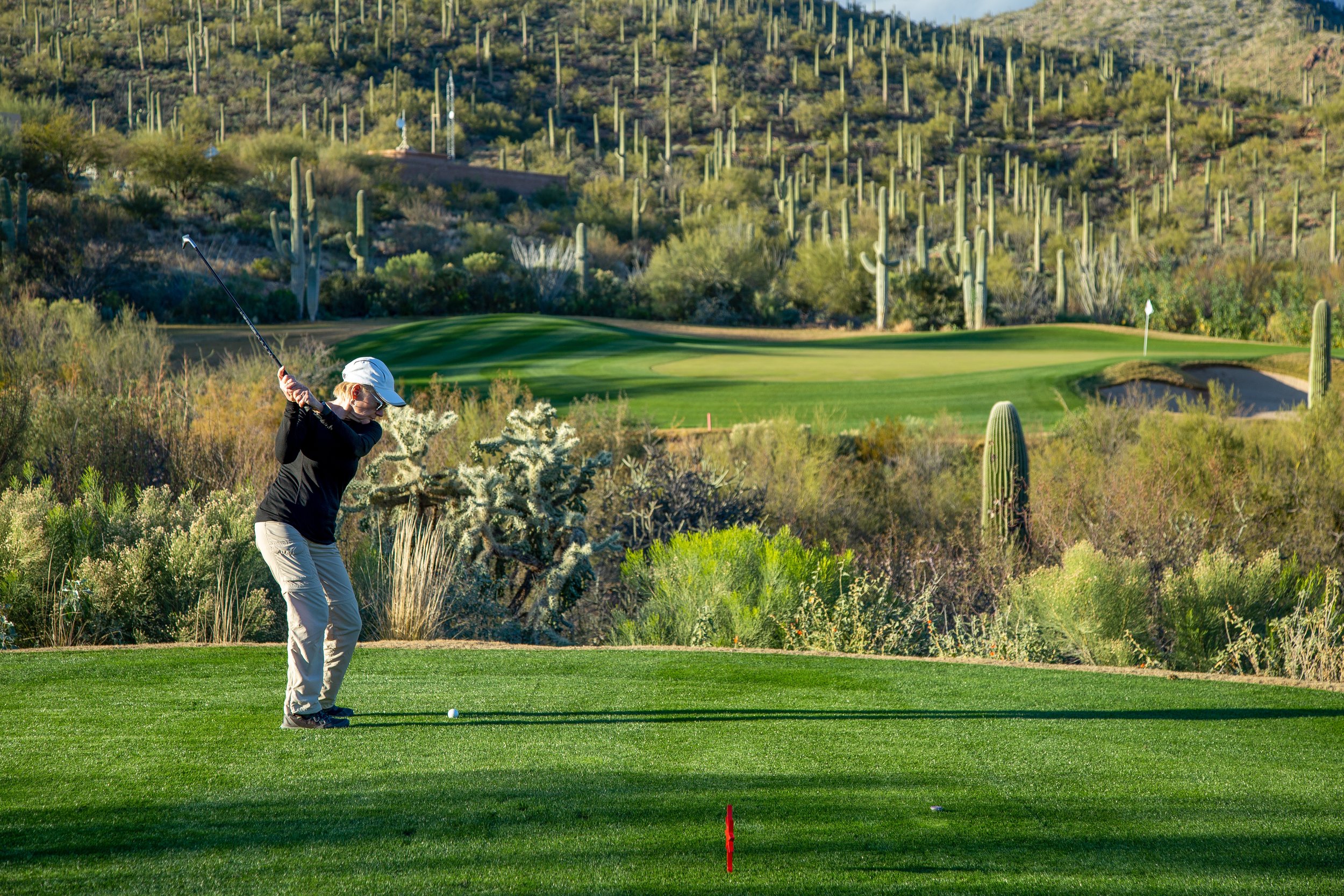 Golfer swings from a green tee box with a manicured putting green, sand bunker, cholla, and numerous saguaro cacti across the surrounding desert hills.