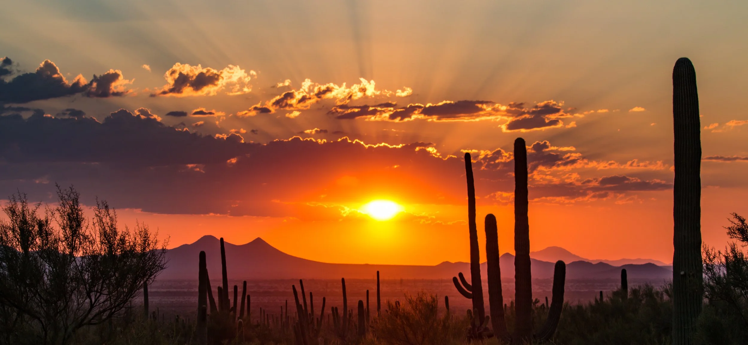 Bright orange sun sets behind distant mountains, with tall saguaro silhouettes and dramatic clouds glowing across the sky.