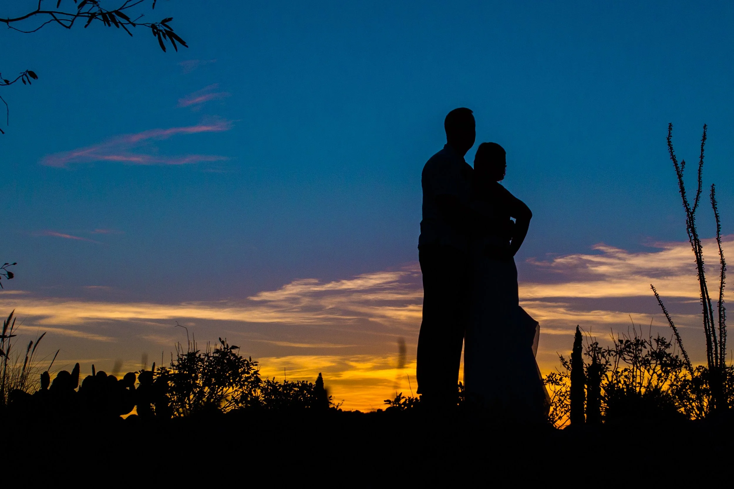 Silhouetted couple stands close together against a deep blue and golden evening sky surrounded by dark desert plants.