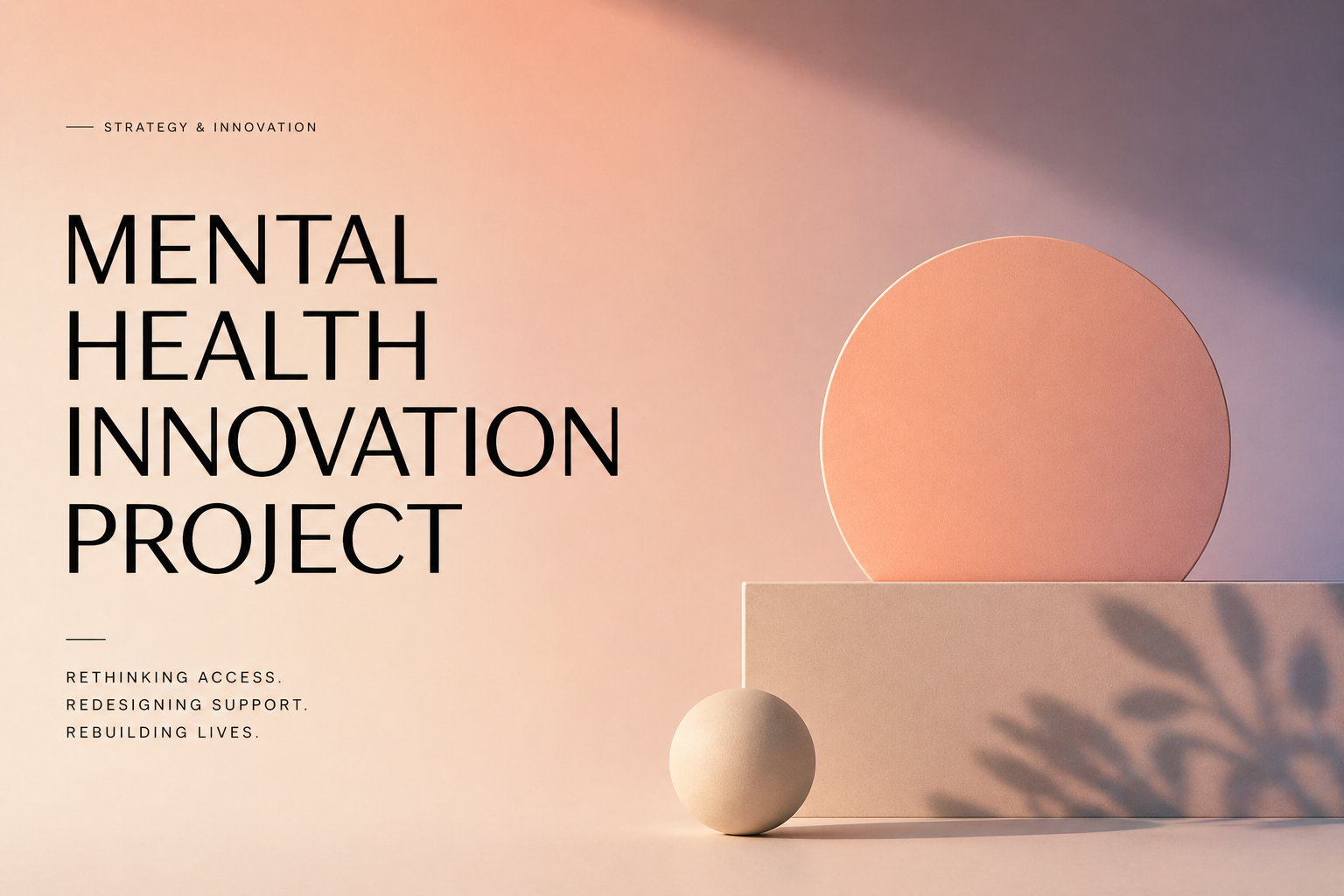 Mental Health Innovation Project