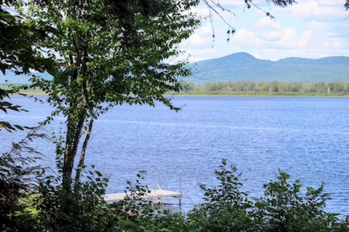 Landscape of Maine.jpg