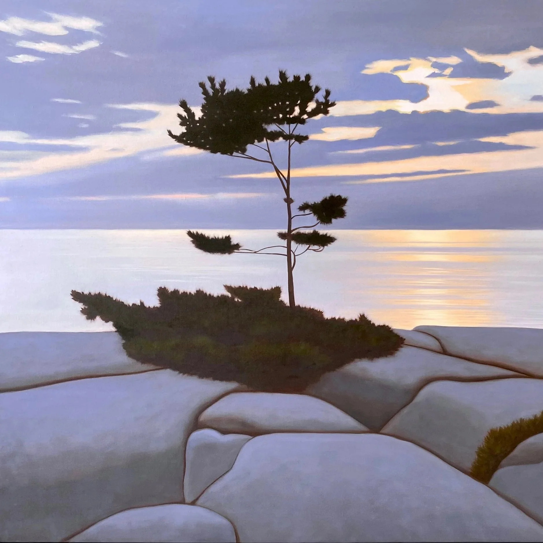 Georgian Bay Pine - 30x40"