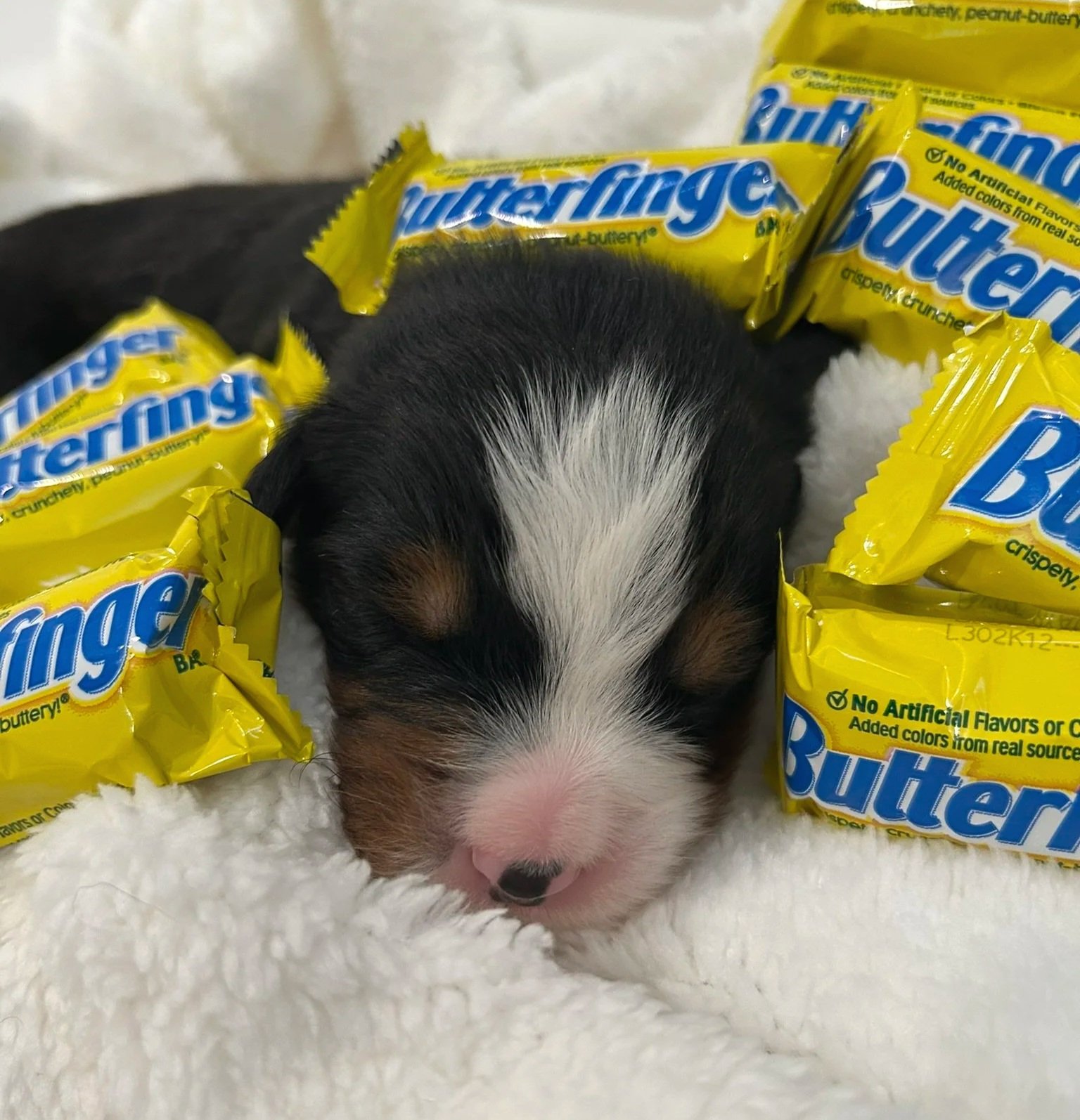 Butterfinger - Male