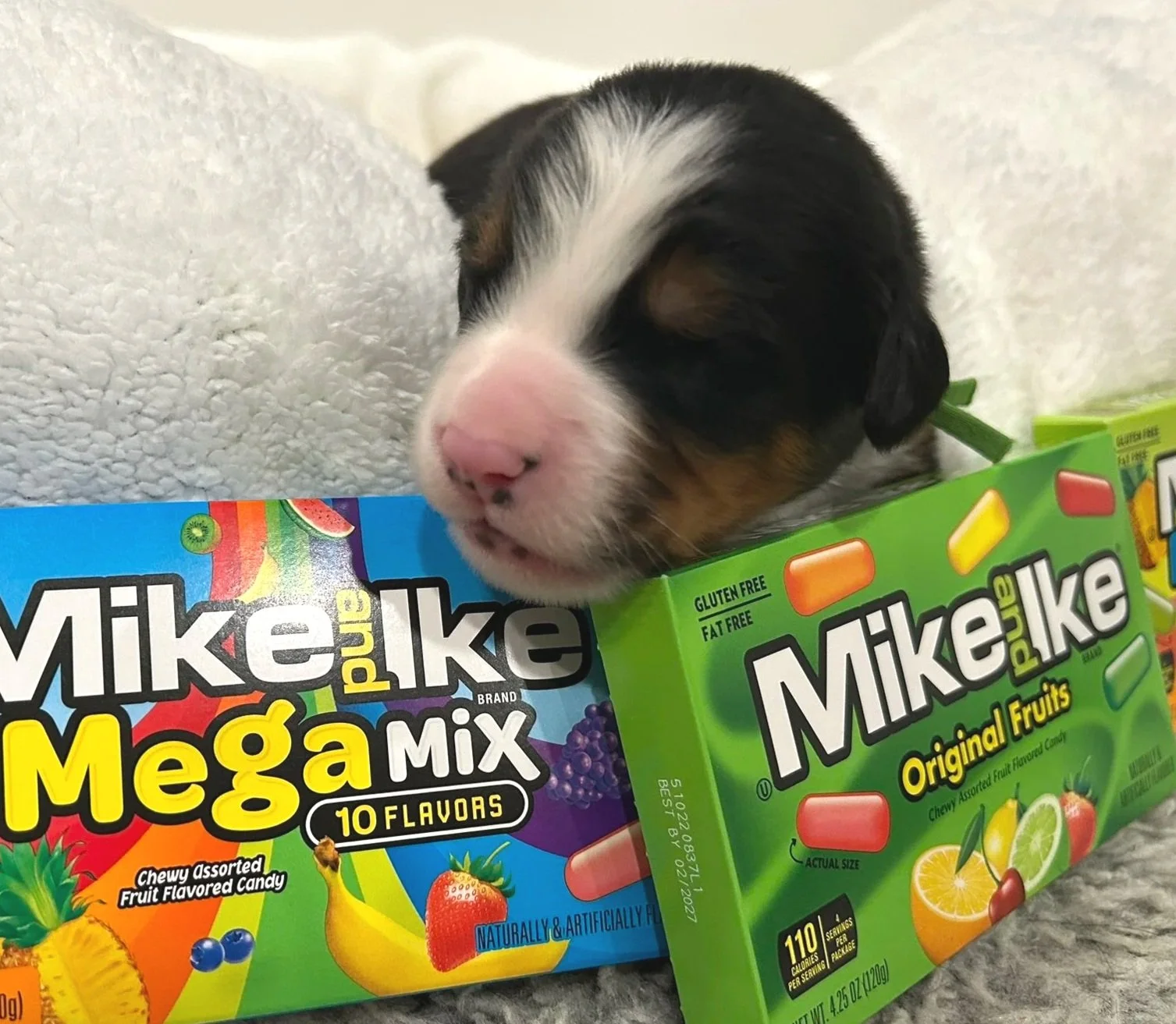 Mike & Ike - Male