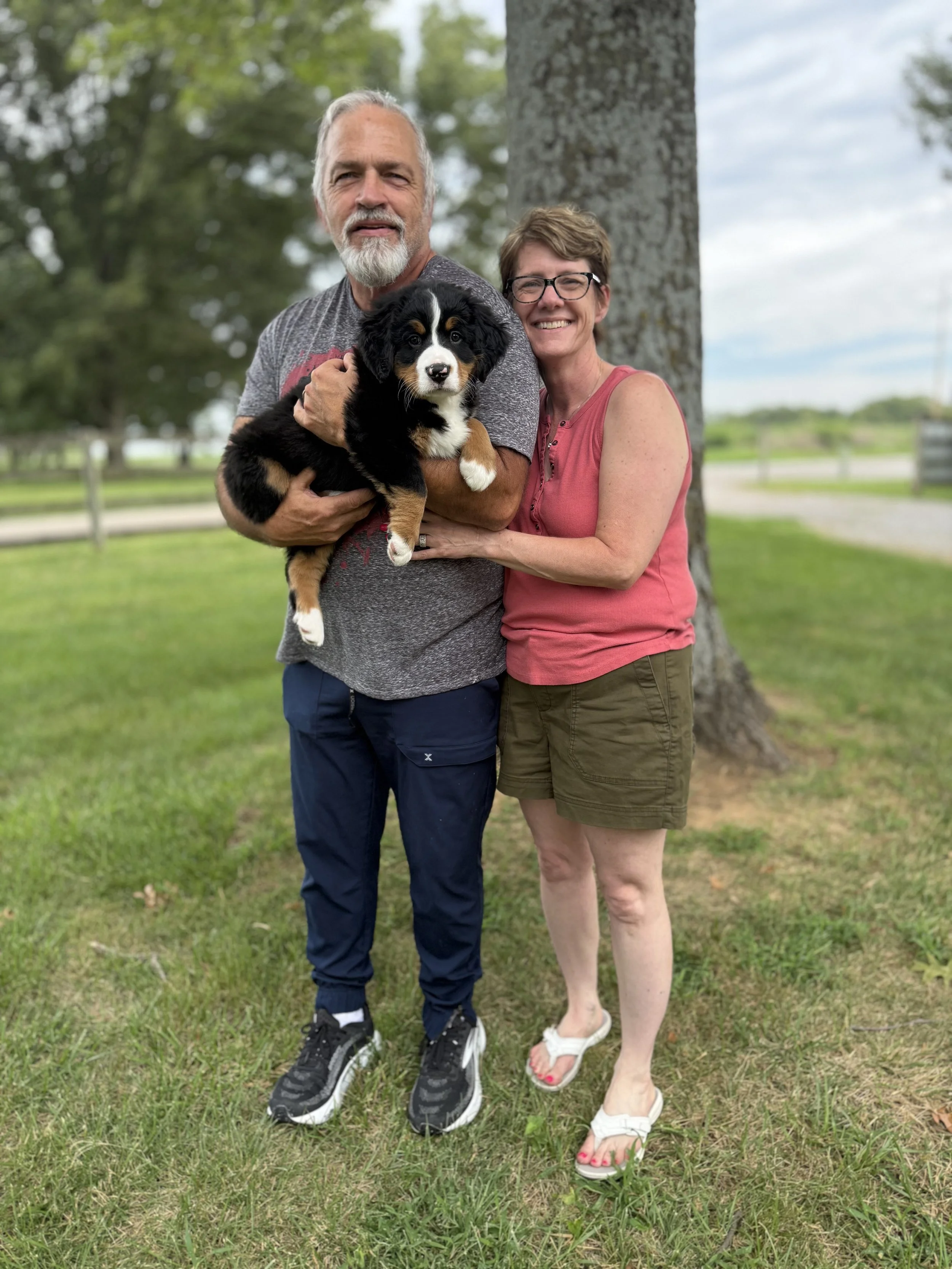 Sugar Cookie.jpeg