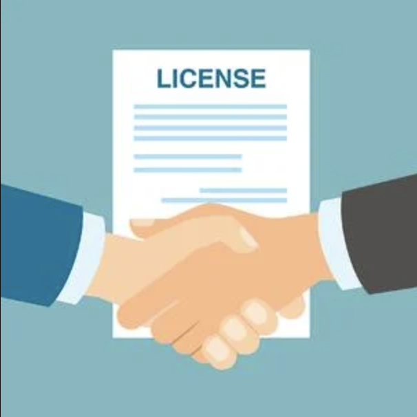 Licensing Intellectual Property: Unveiling the What and Why