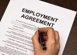 Decoding Employment Contracts: Essentials for Employers and Employees