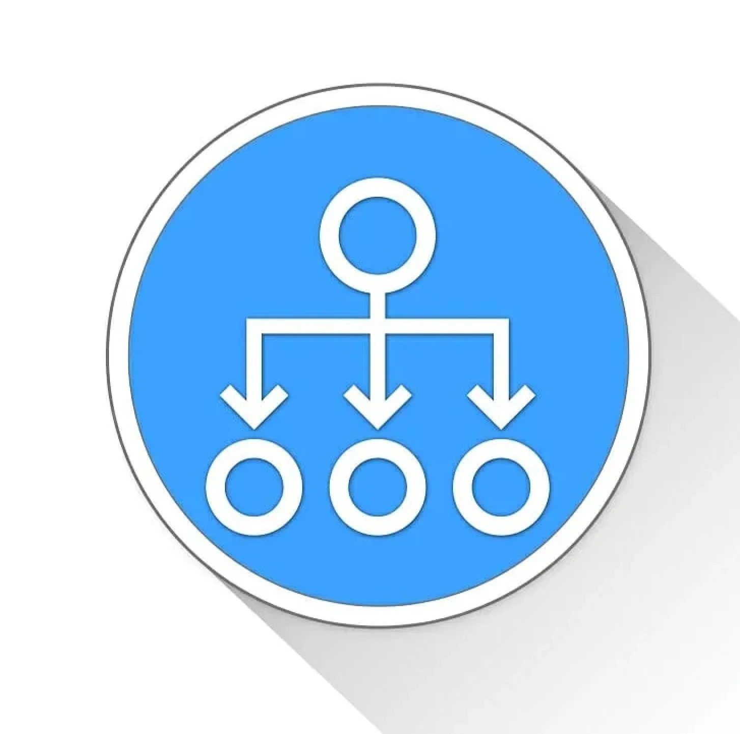 Establishing a Subsidiary: Steps, Differences, and Considerations
