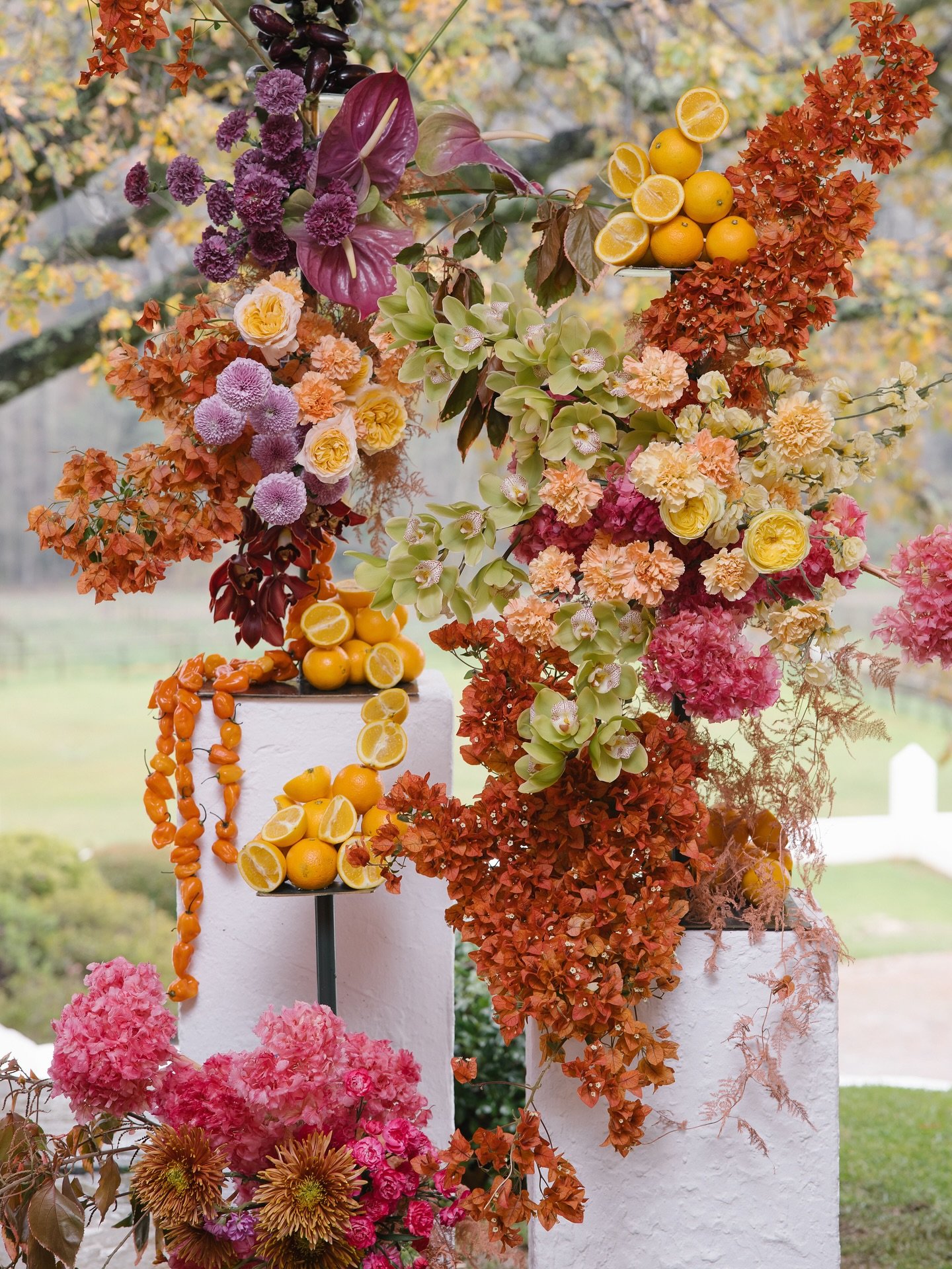 Carla &amp; Andre✨

Bringing the colour to winter weddings💐

Coordination &amp; Styling:&nbsp;@amocreative
Photographer:&nbsp;@lizelle.lotter.photography
Venue:&nbsp;@thedoolhof
Floral design:&nbsp;@dane.verwey_floral
Catering:&nbsp;@taste_ateljee
H