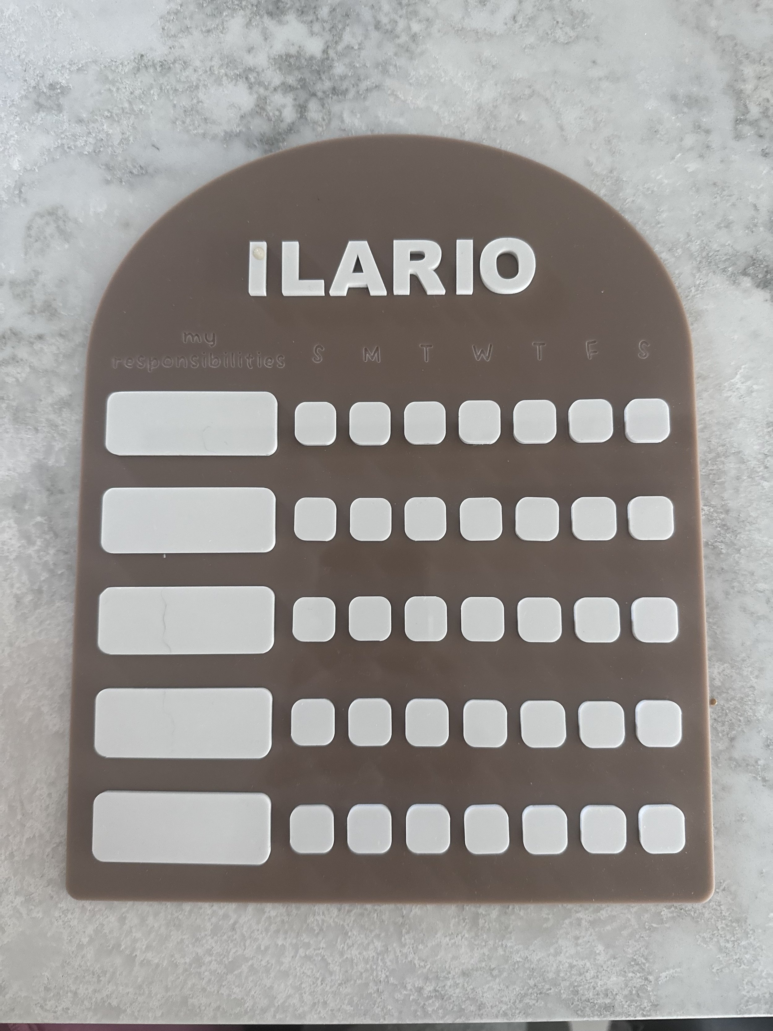 Ilario Responsibilities Chart.jpeg