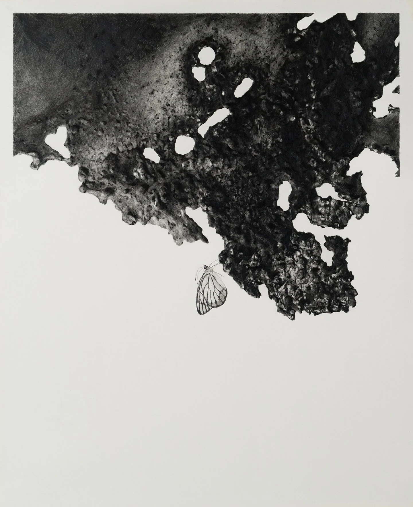 Graphite on paper, 2021