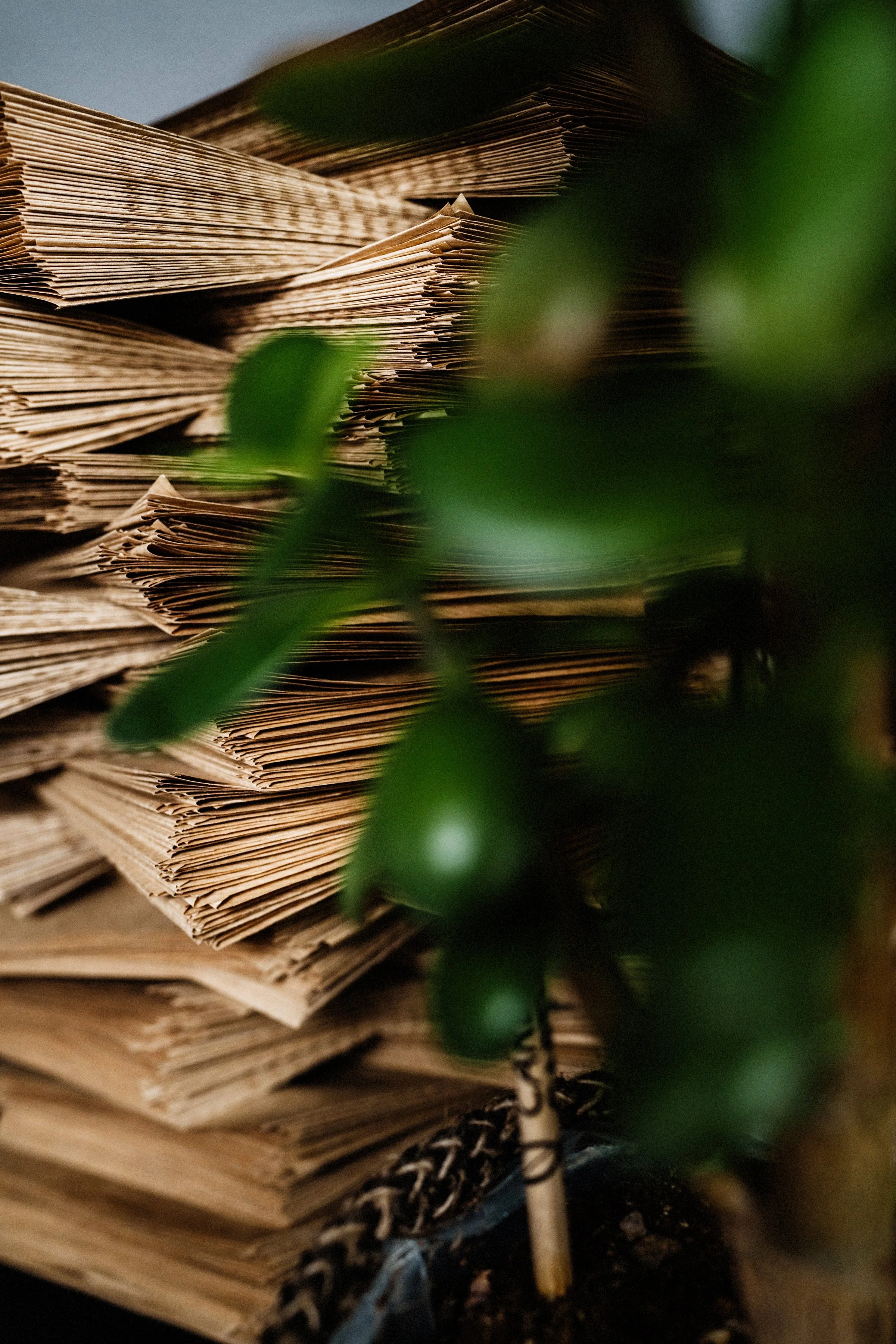 Dynamic - 27 Jul 22-88.jpg